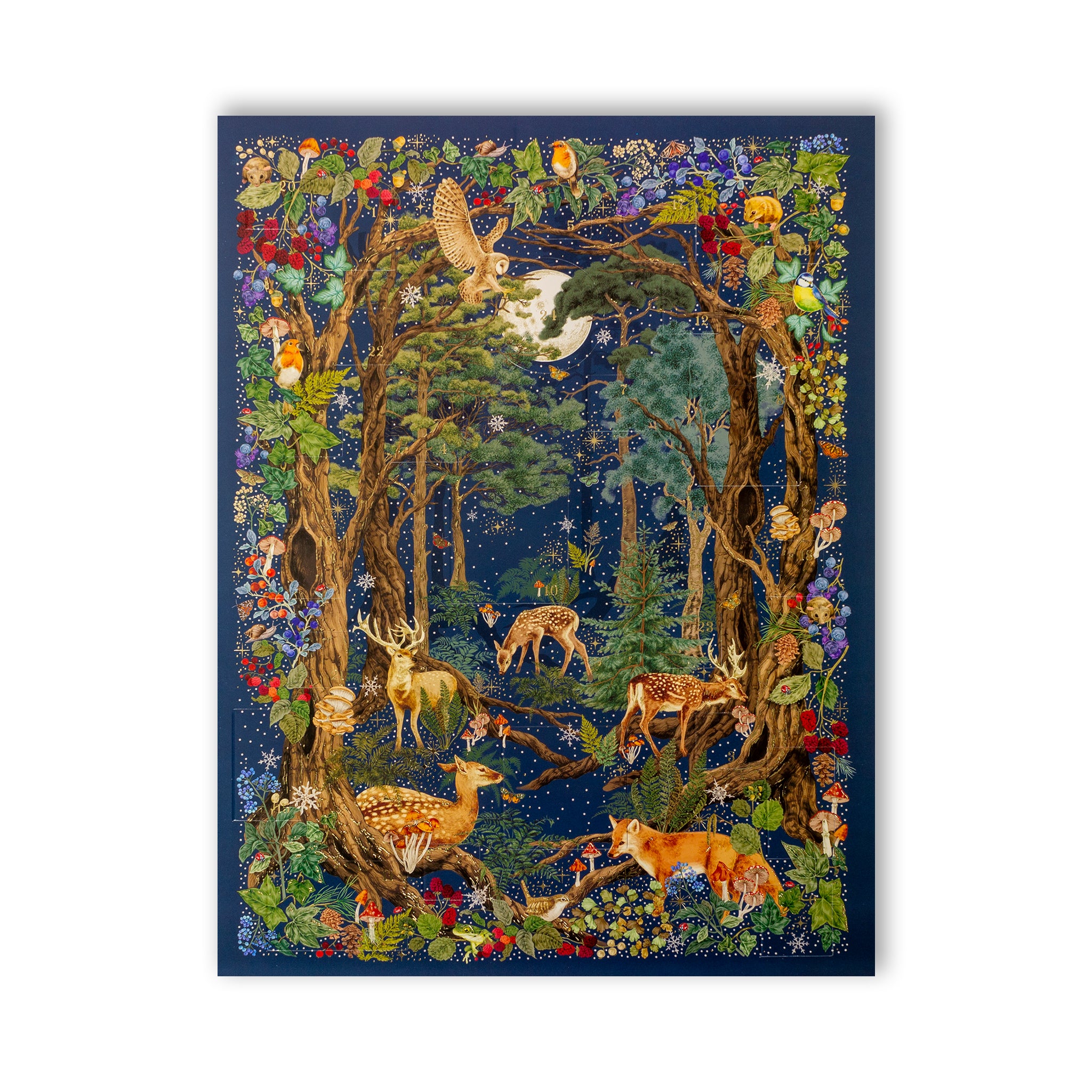 Into The Forest Christmas Advent Calendar The Art File