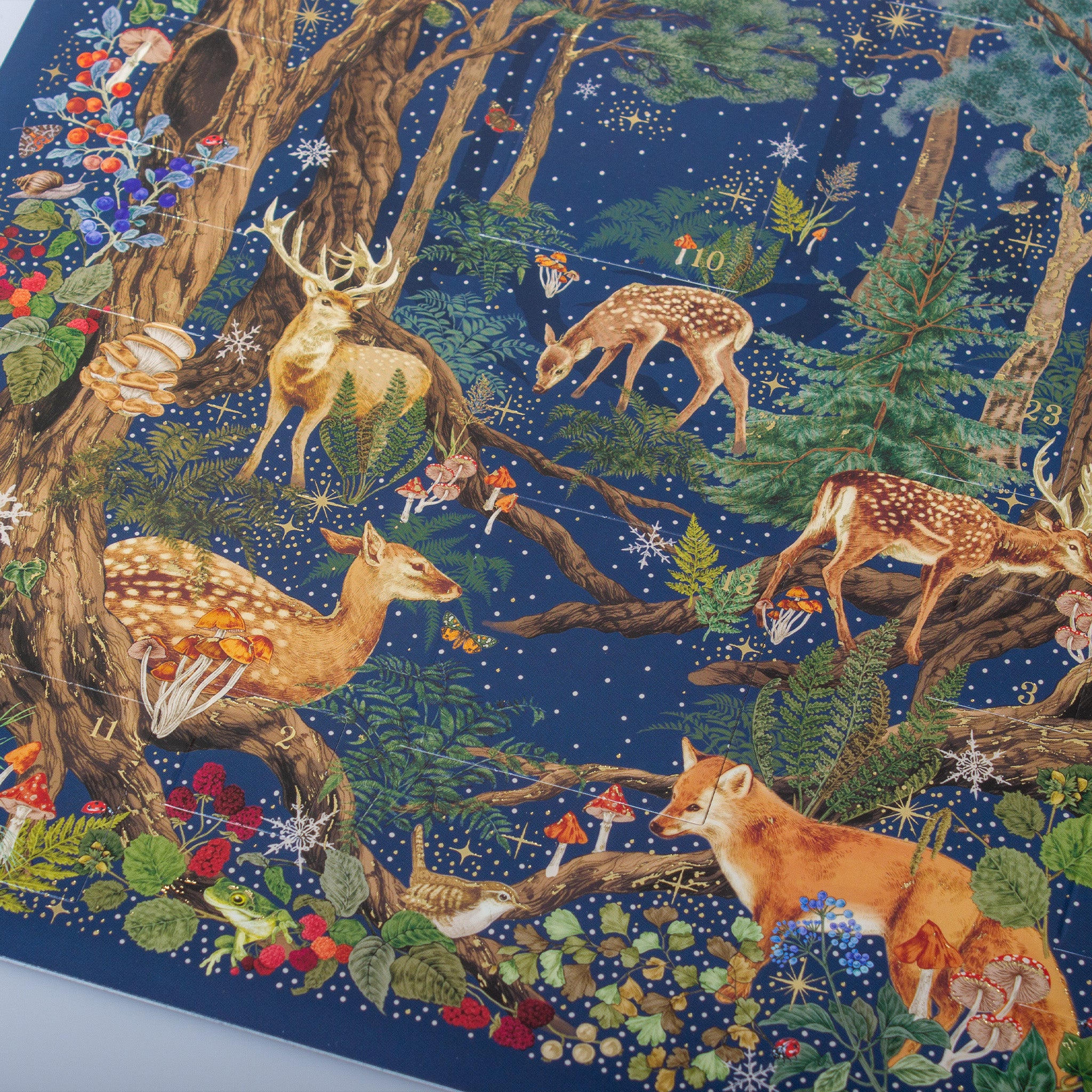 Into The Forest Christmas Advent Calendar