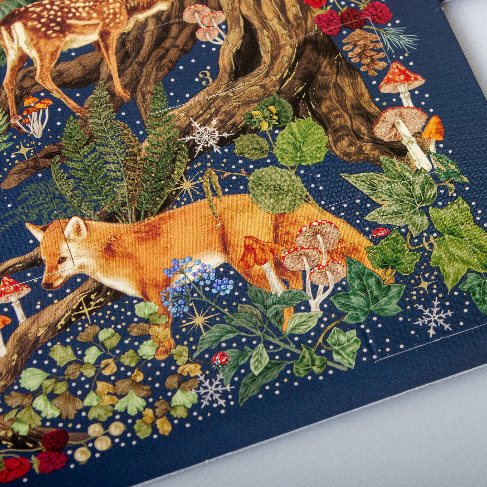 Into The Forest Christmas Advent Calendar