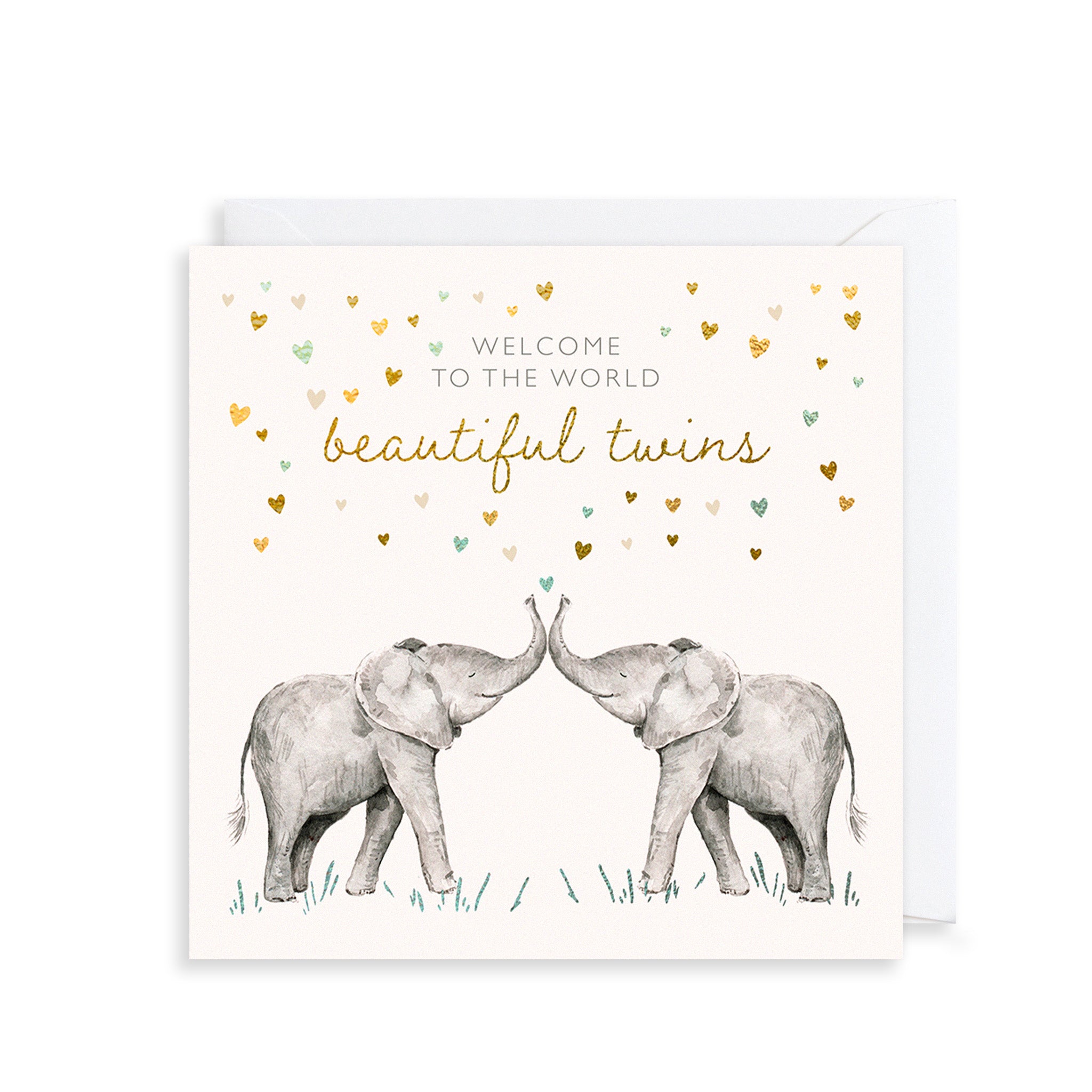 Beautiful Baby Twins Greetings Card The Art File