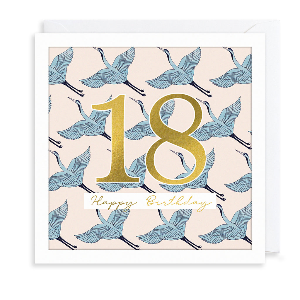 18th Birthday Greetings Card The Art File