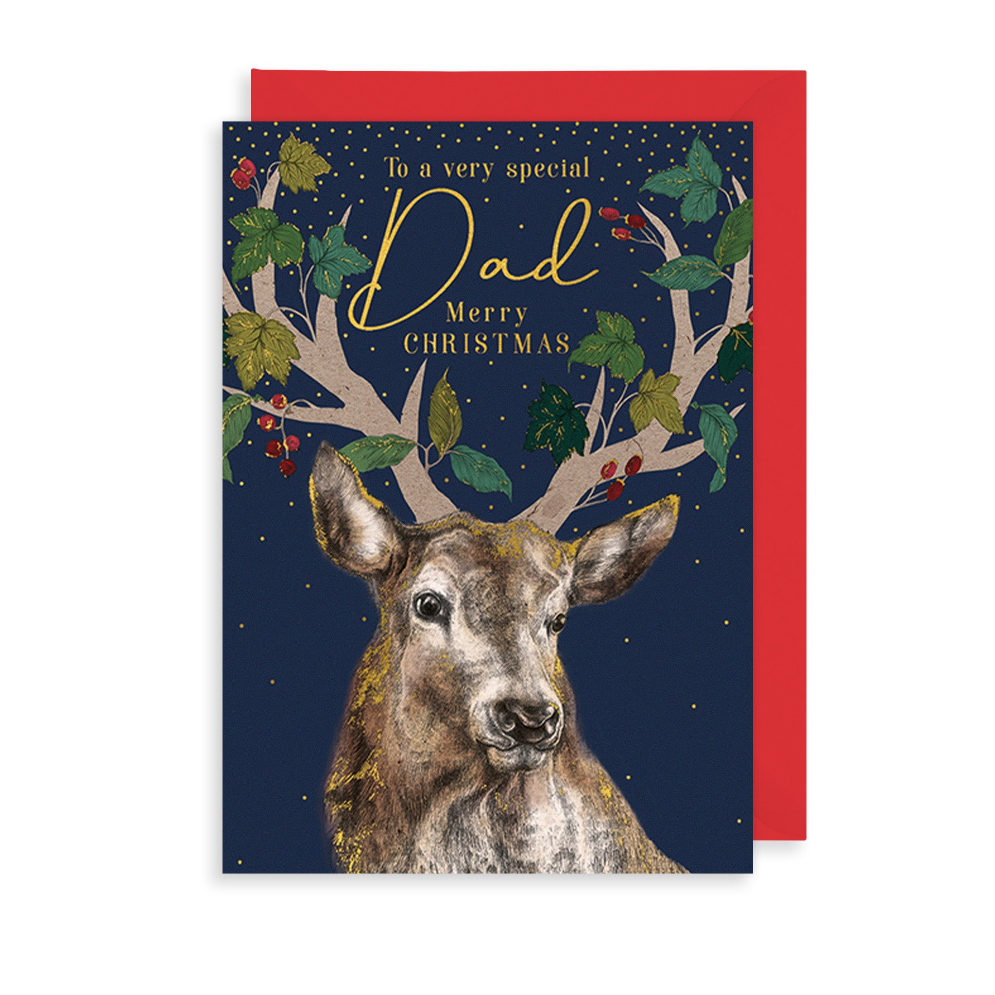 Special Dad Christmas Card The Art File