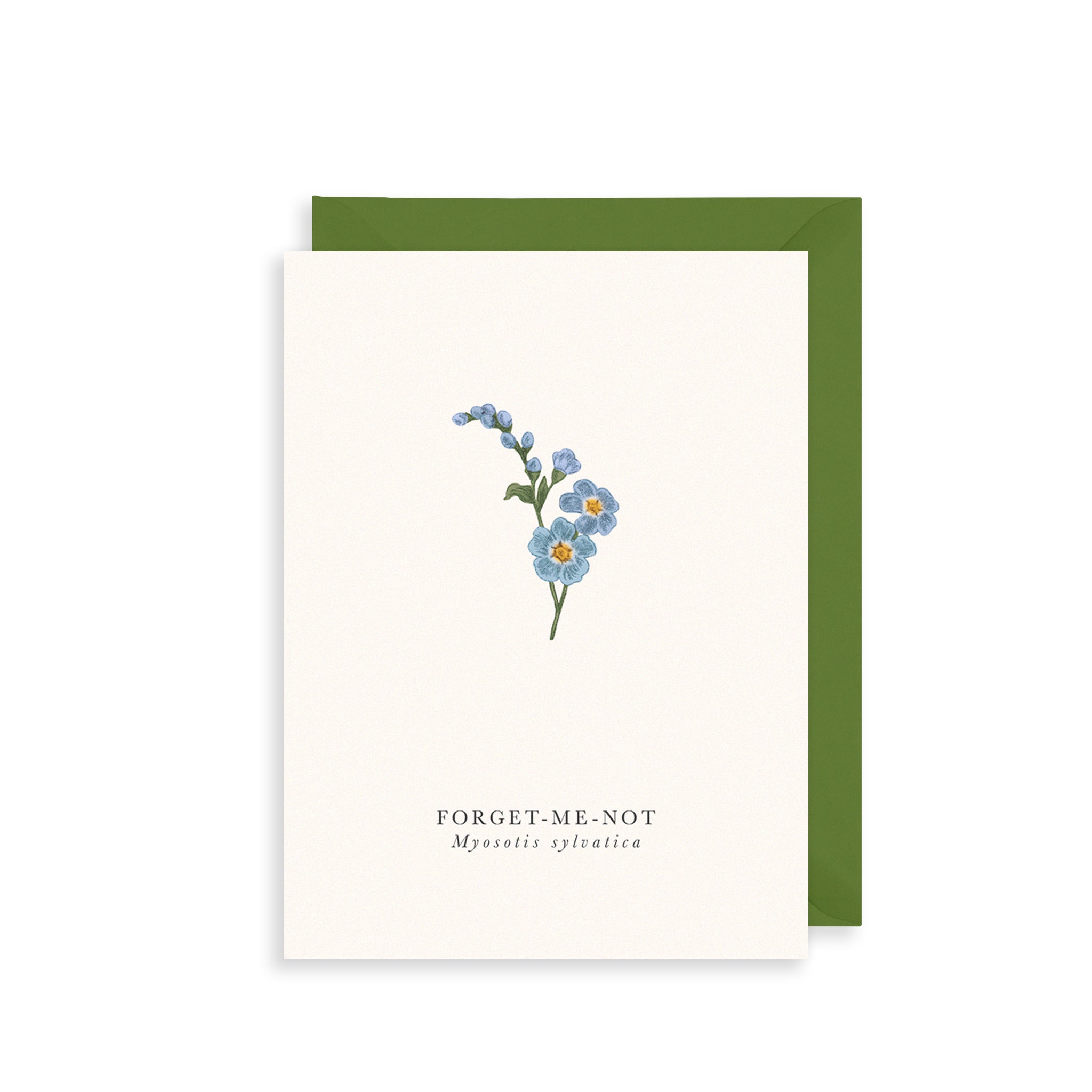 Forget-Me-Not Greetings Card The Art File