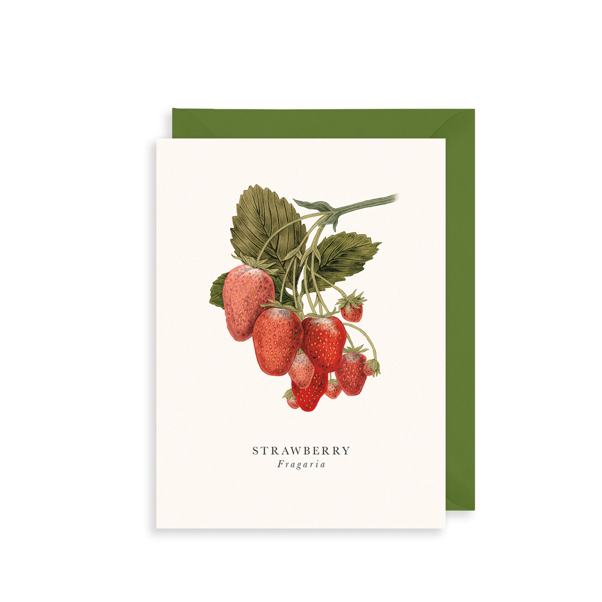 Strawberry Greetings Card The Art File