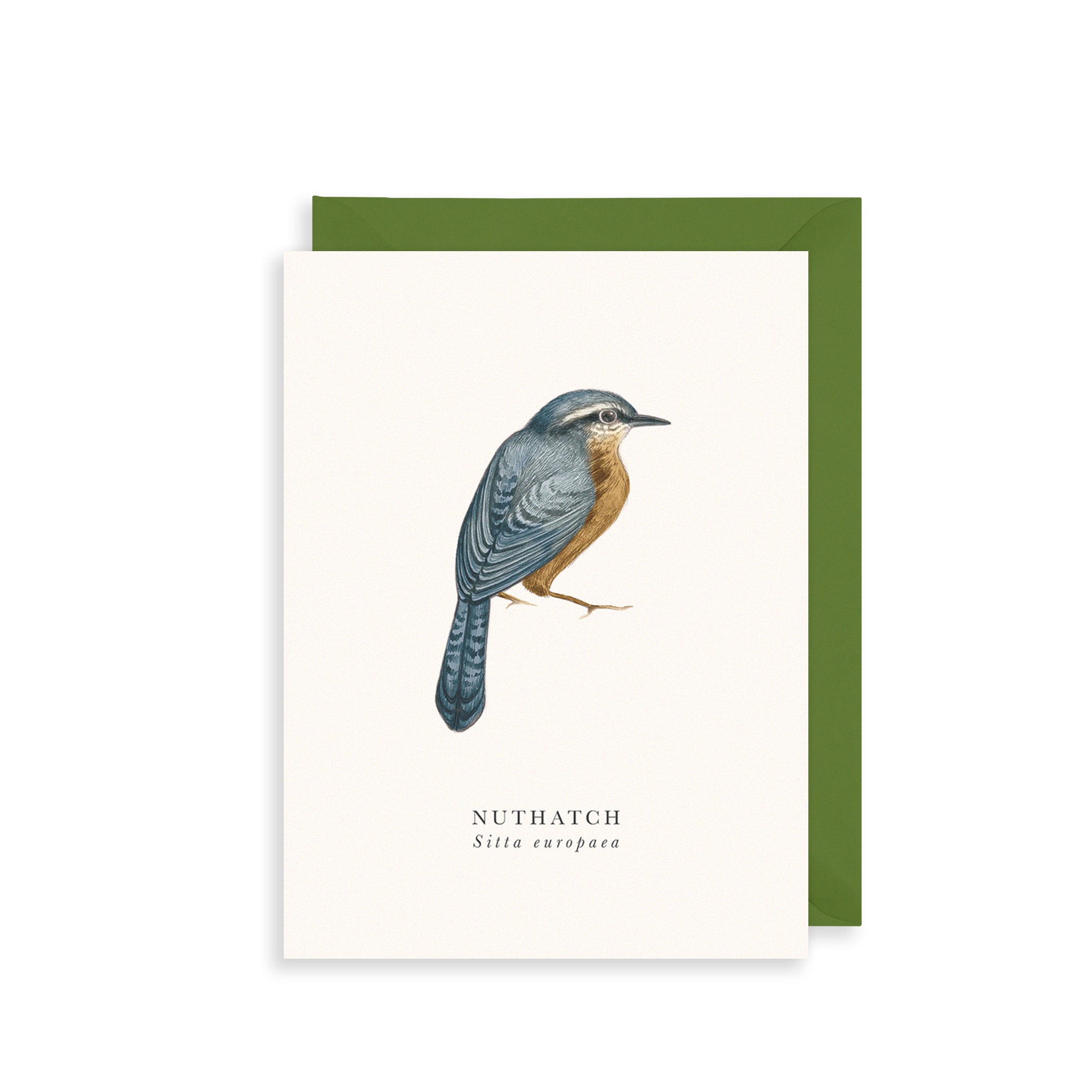 Nuthatch Greetings Card The Art File