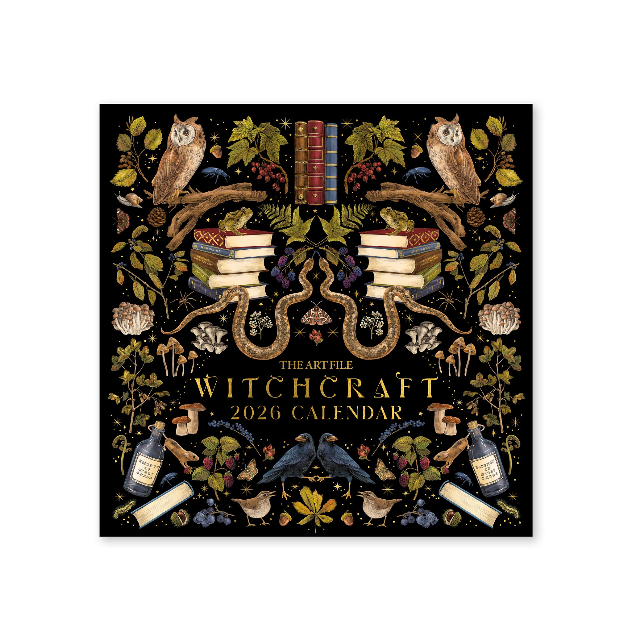 Witchcraft 2026 12-Month Wall Calendar