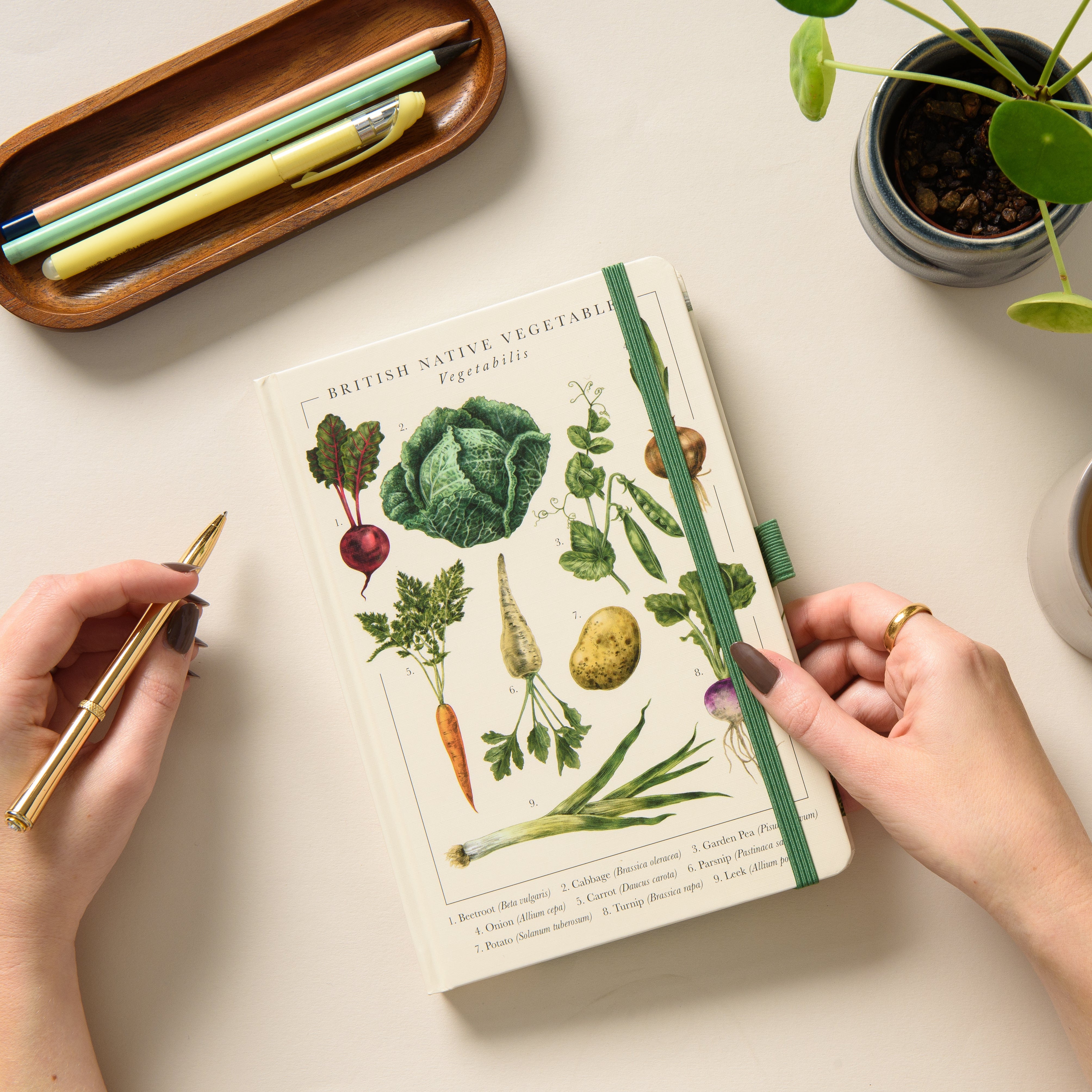 British Vegetables A5 Hardback Notebook