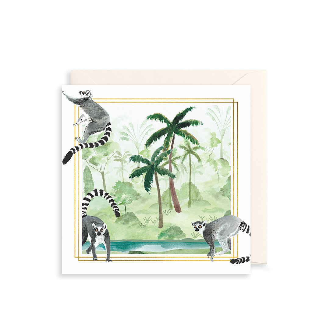Ring-tailed Lemurs Greetings Card The Art File