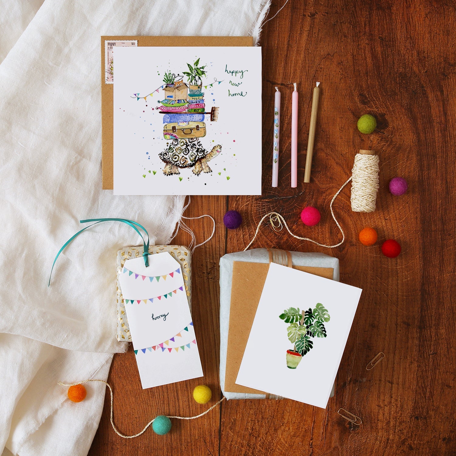 Monstera House Plant Mini Card