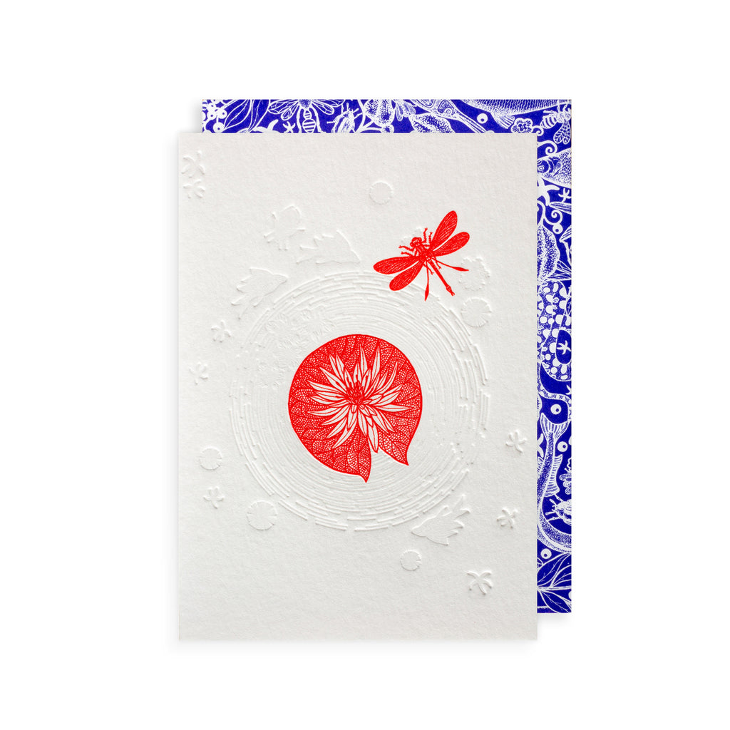 Lily Pad & Dragonfly Greetings Card The Art File