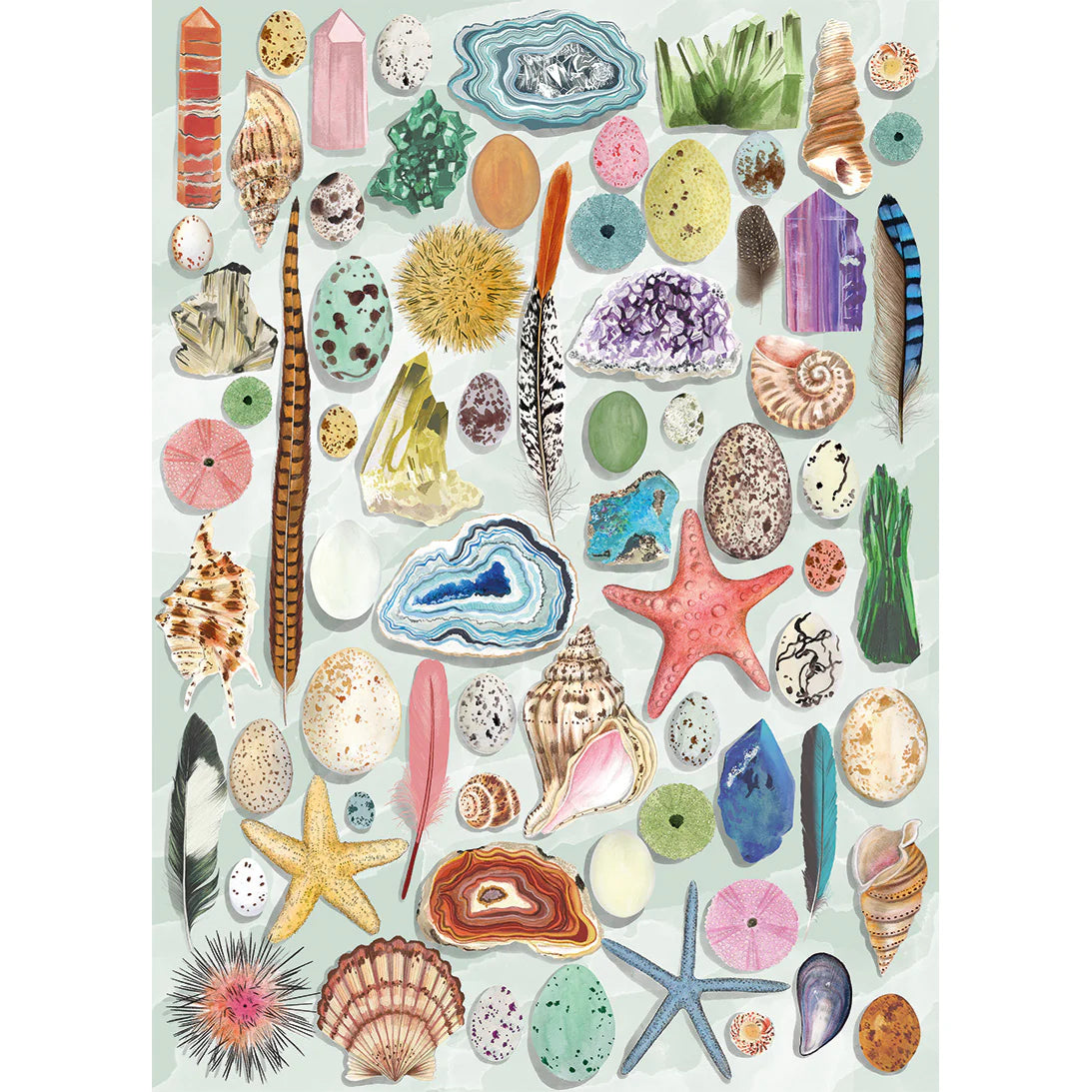 Natural Curiosities, 1,000 Piece Jigsaw Puzzle