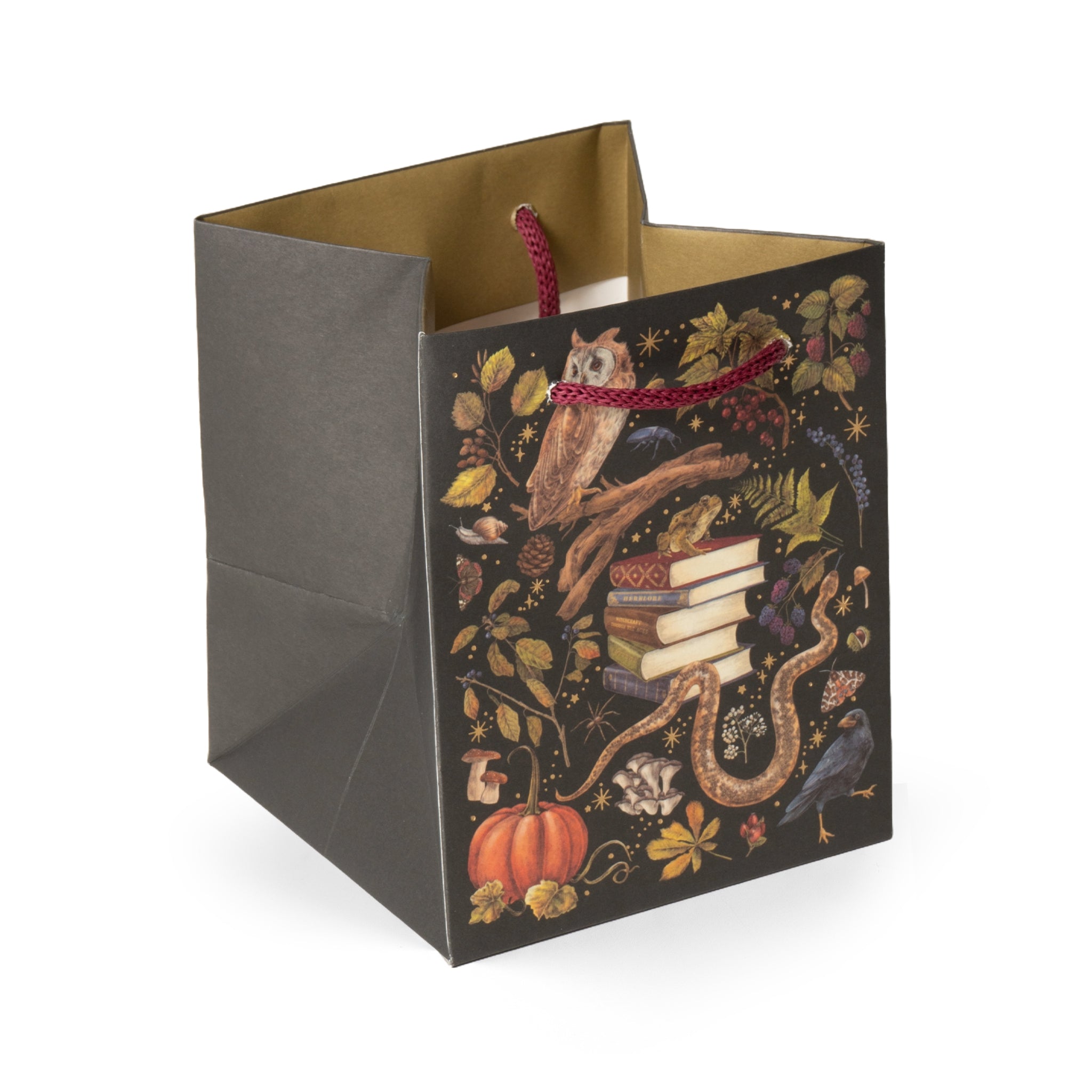 Witchcraft, Small Square Gift Bag