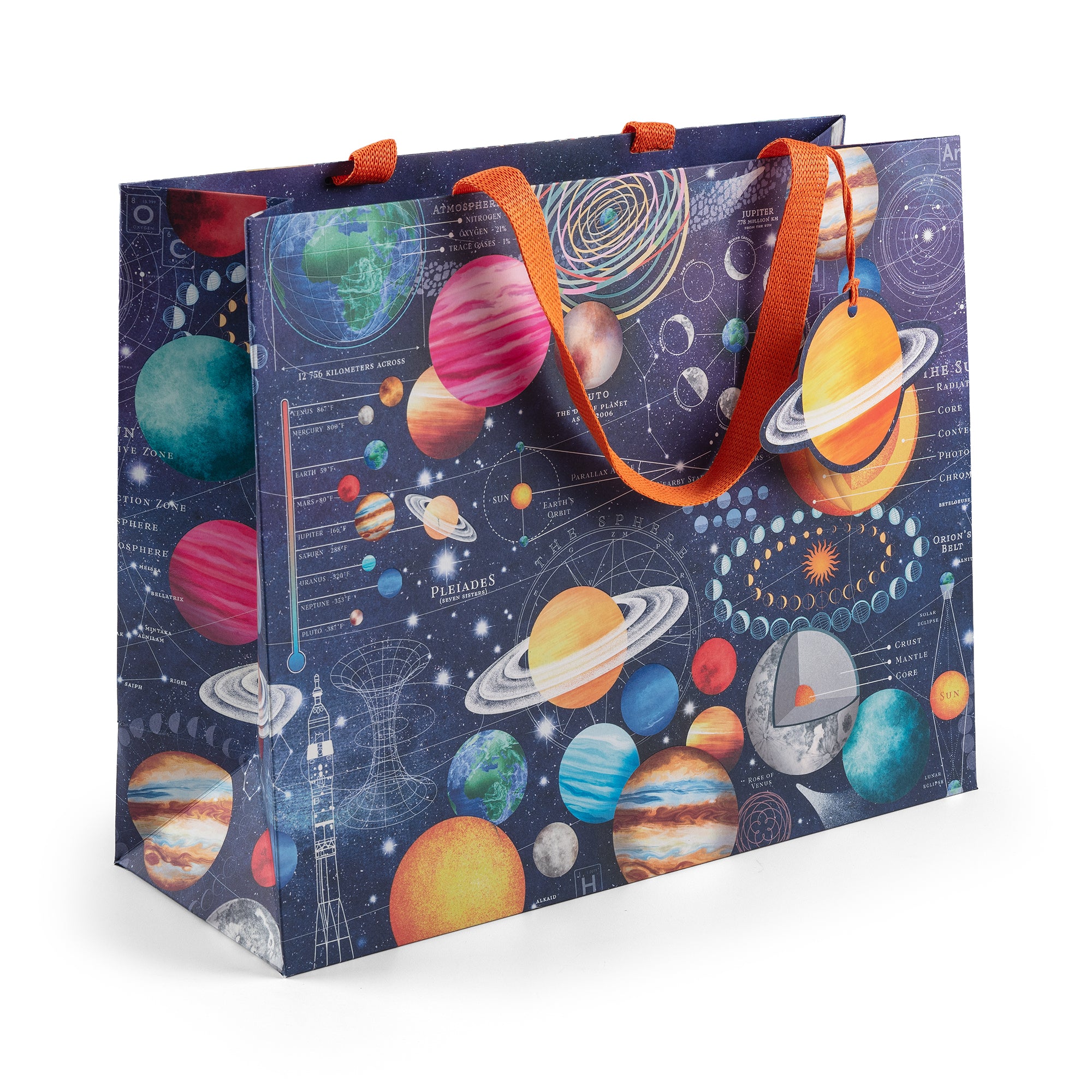 Cosmos, Large Landscape Gift Bag