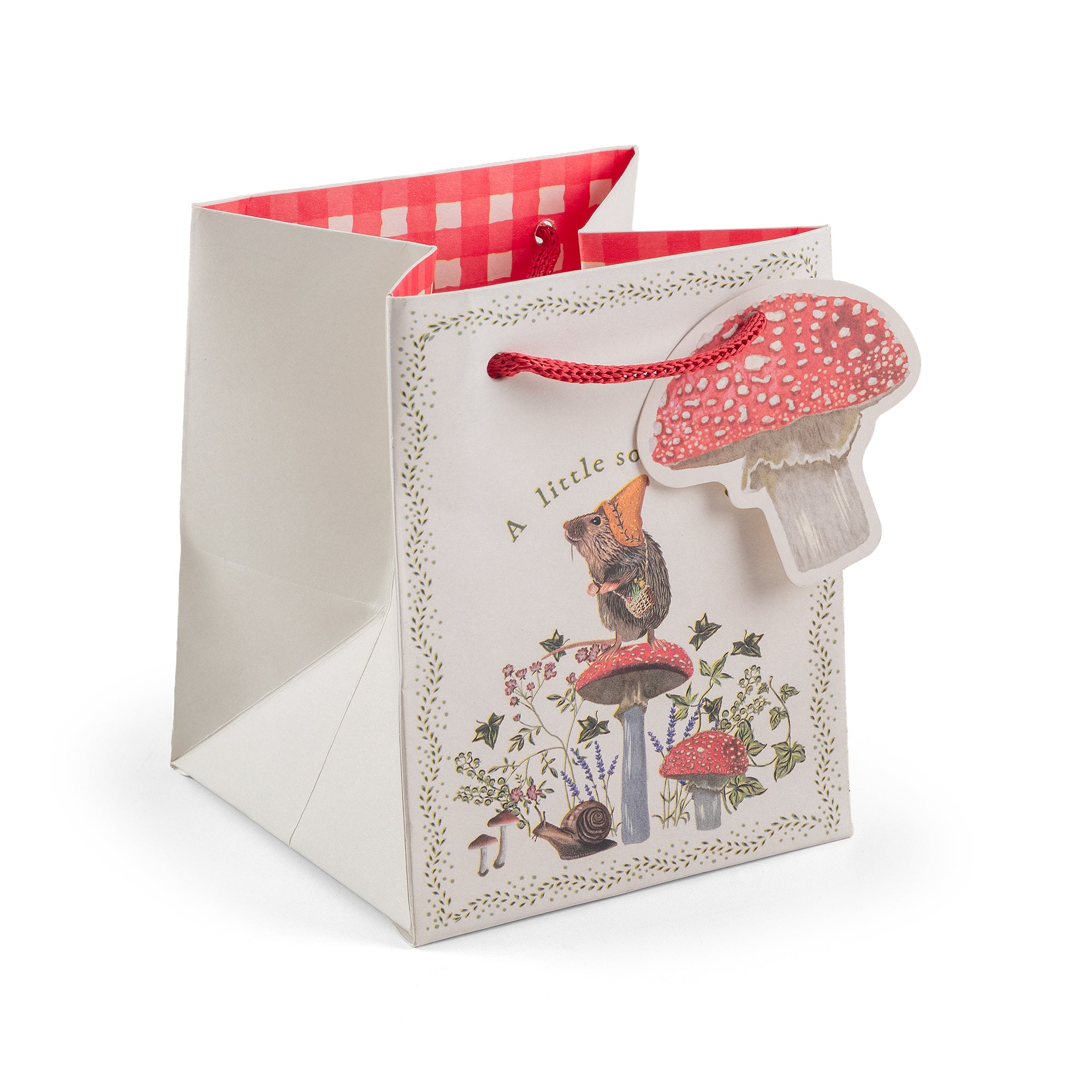 Tale & Ivy, Small Square Gift Bag