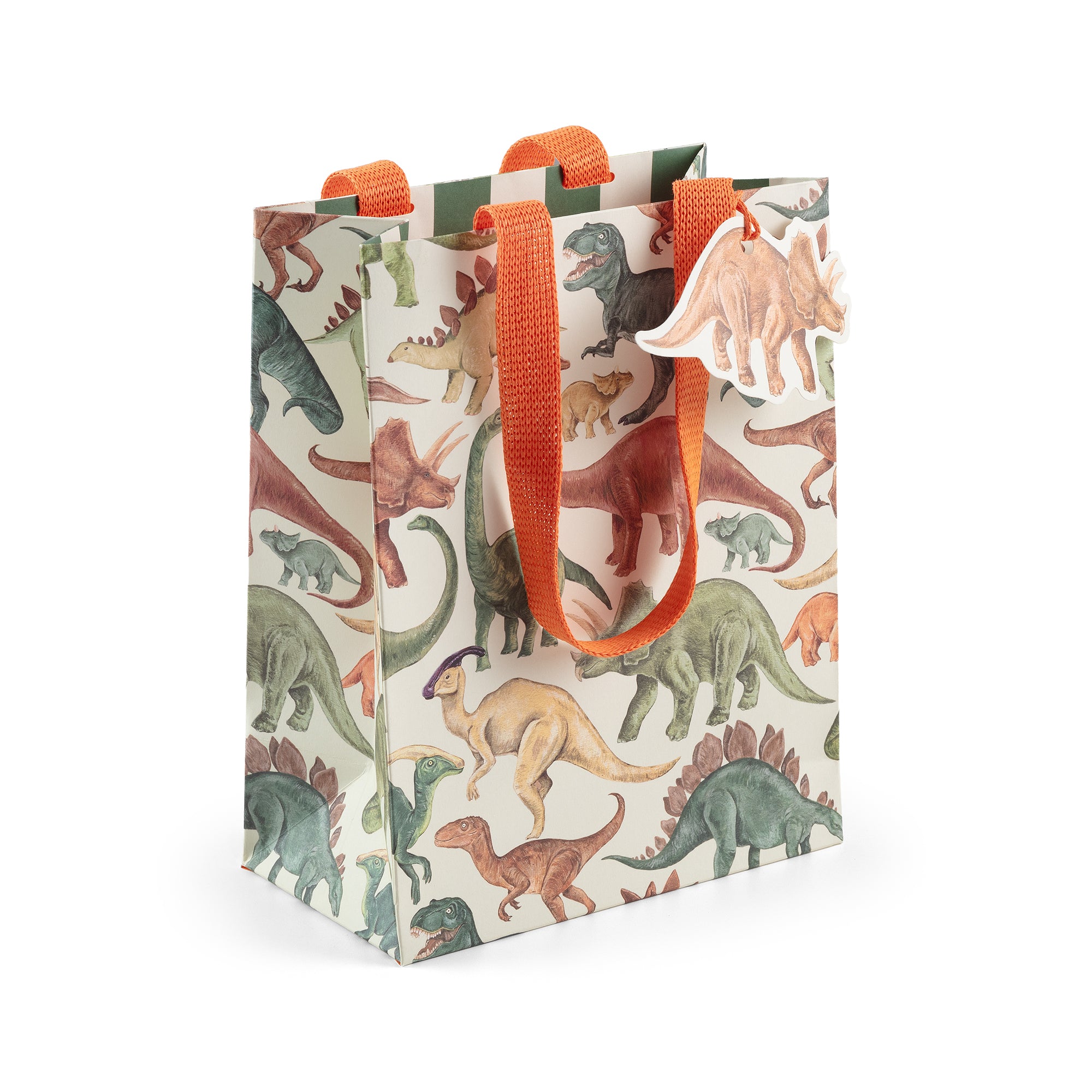 Dinosaurs, Medium Gift Bag