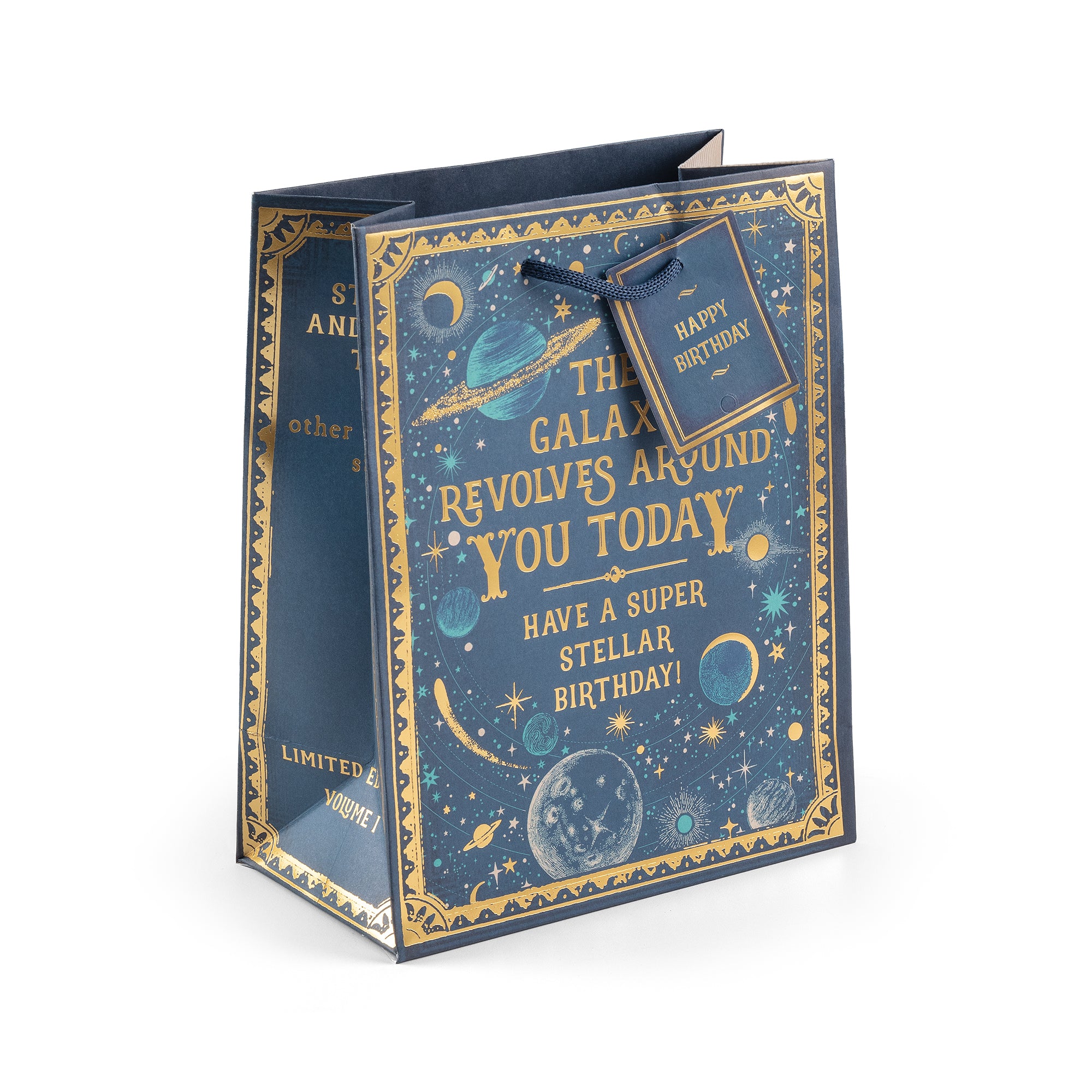 Revolves Around You, Medium Gift Bag