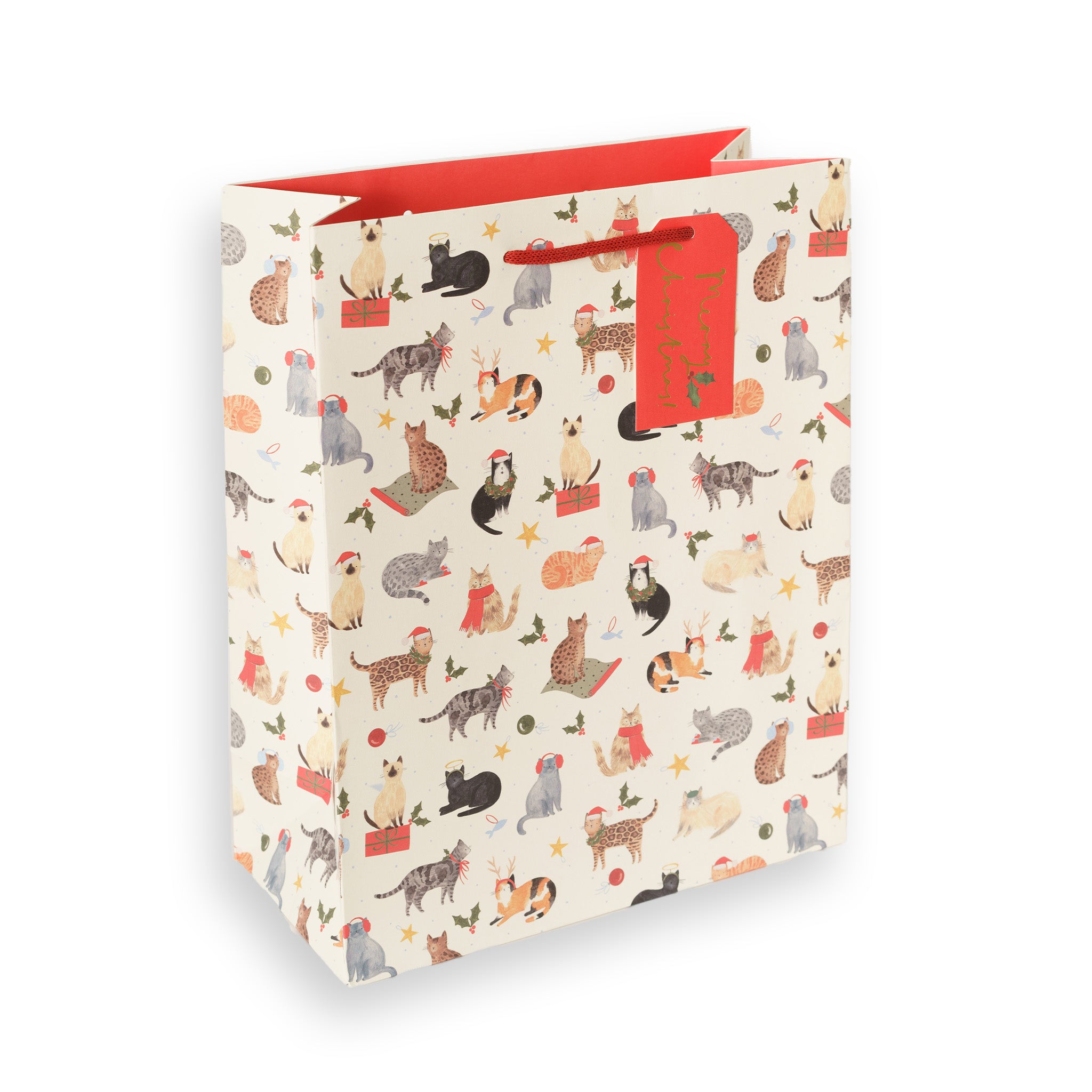 Santa Paws, Large Christmas Gift Bag