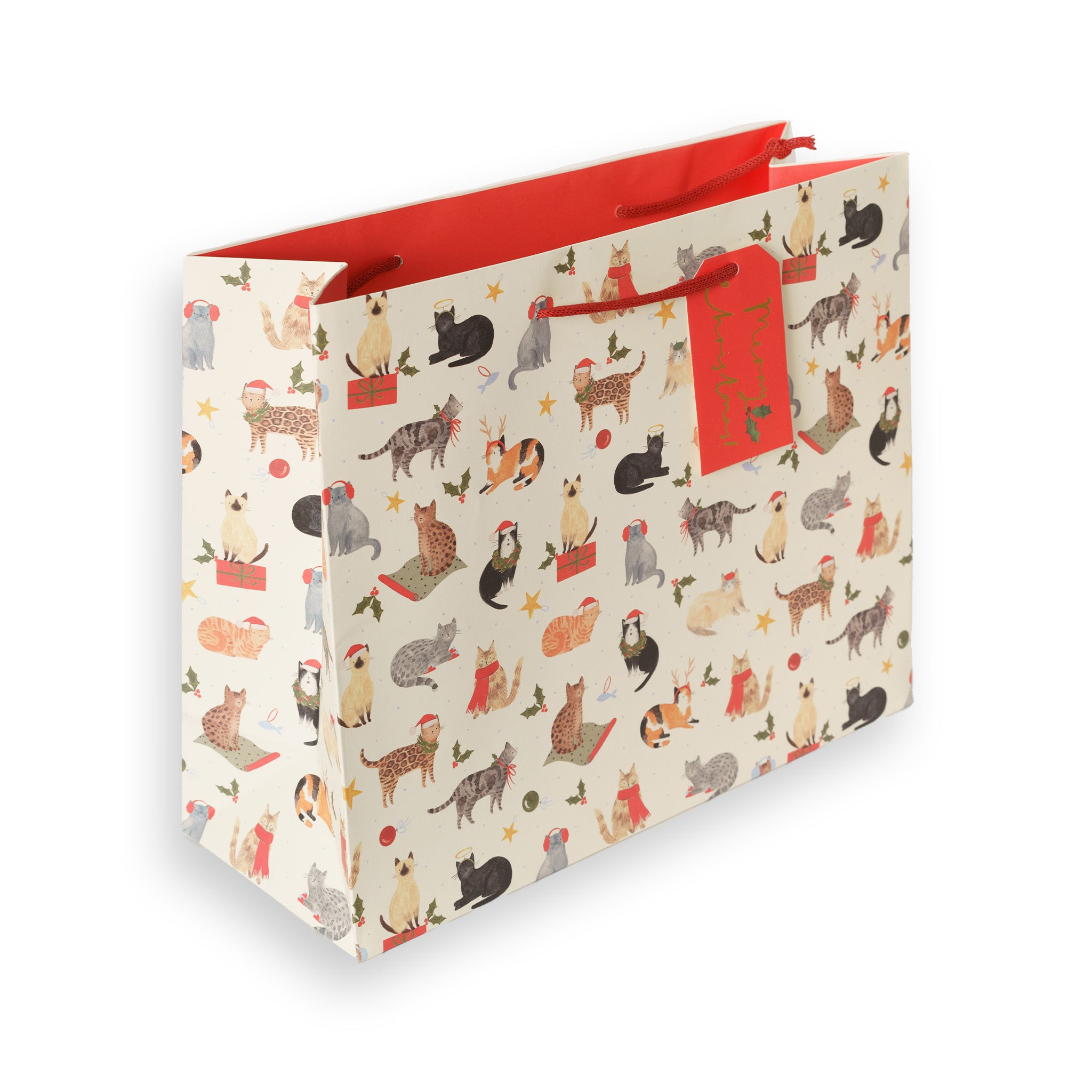 Santa Paws, Large Landscape Christmas Gift Bag