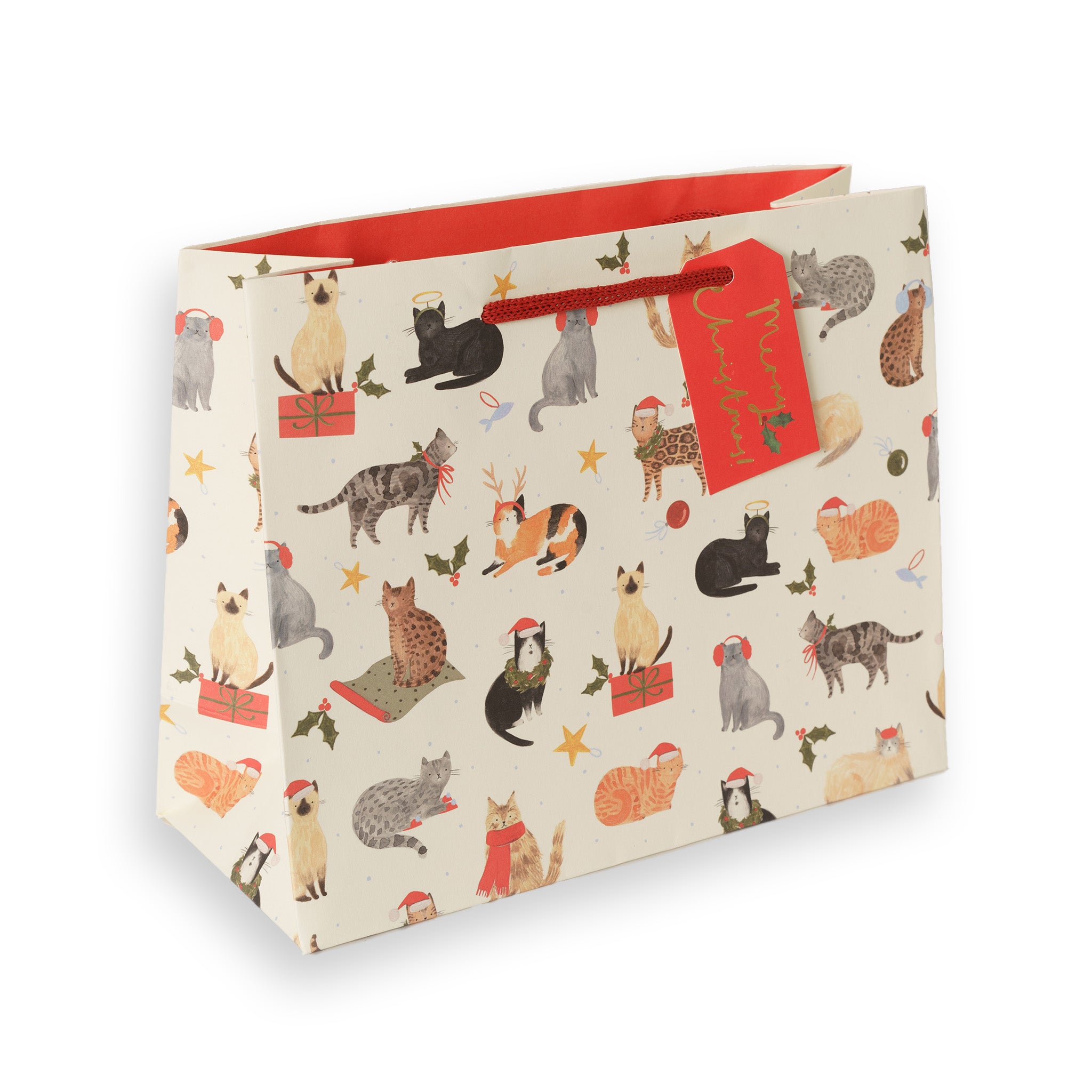 Santa Paws, Medium Landscape Christmas Gift Bag