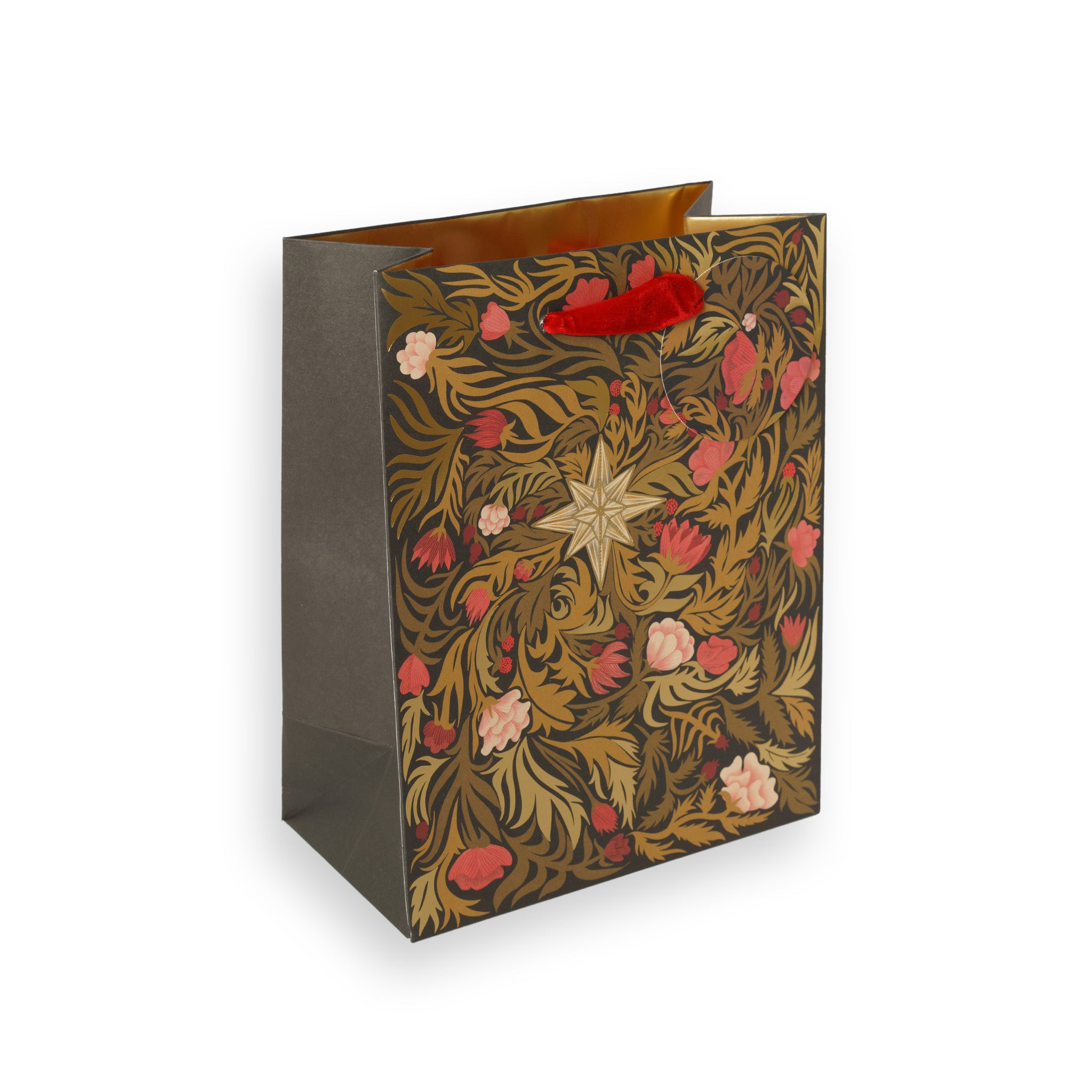 Festive Star, Medium Christmas Gift Bag
