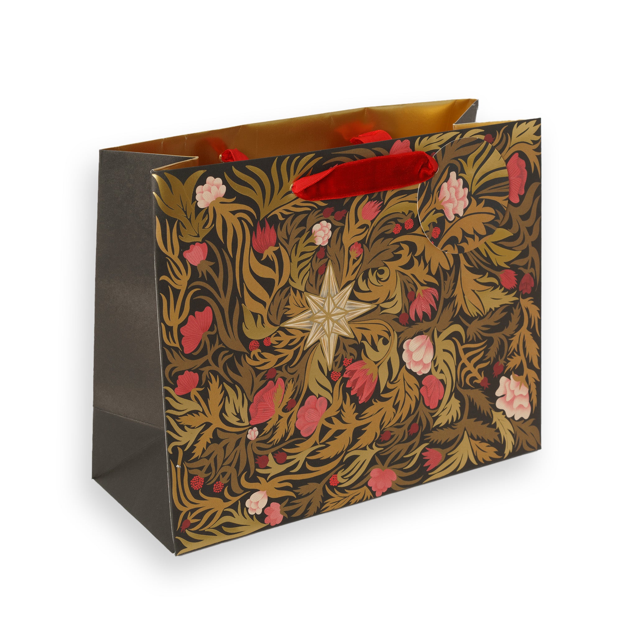 Festive Star, Medium Landscape Christmas Gift Bag