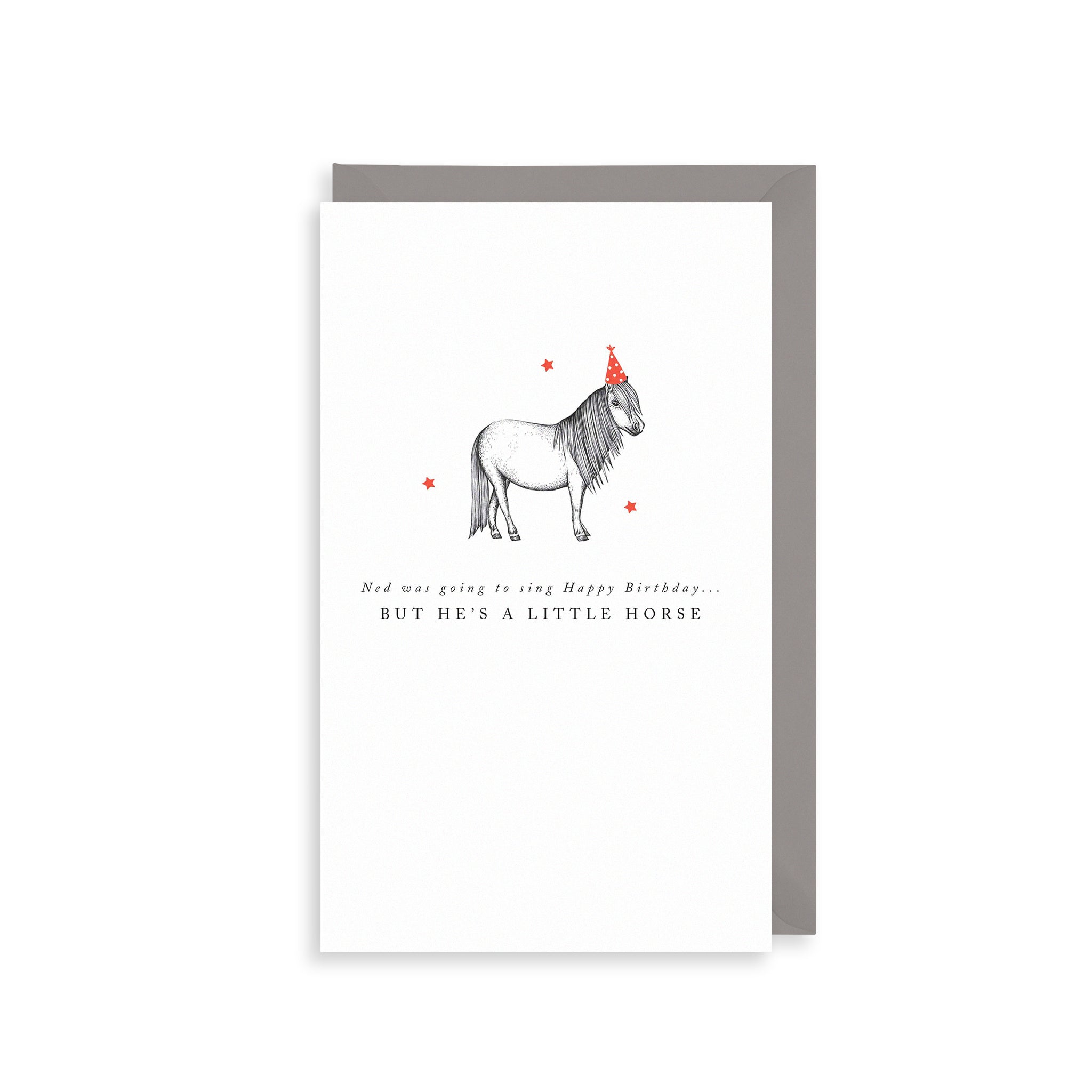 A Little Horse Greetings Card The Art File