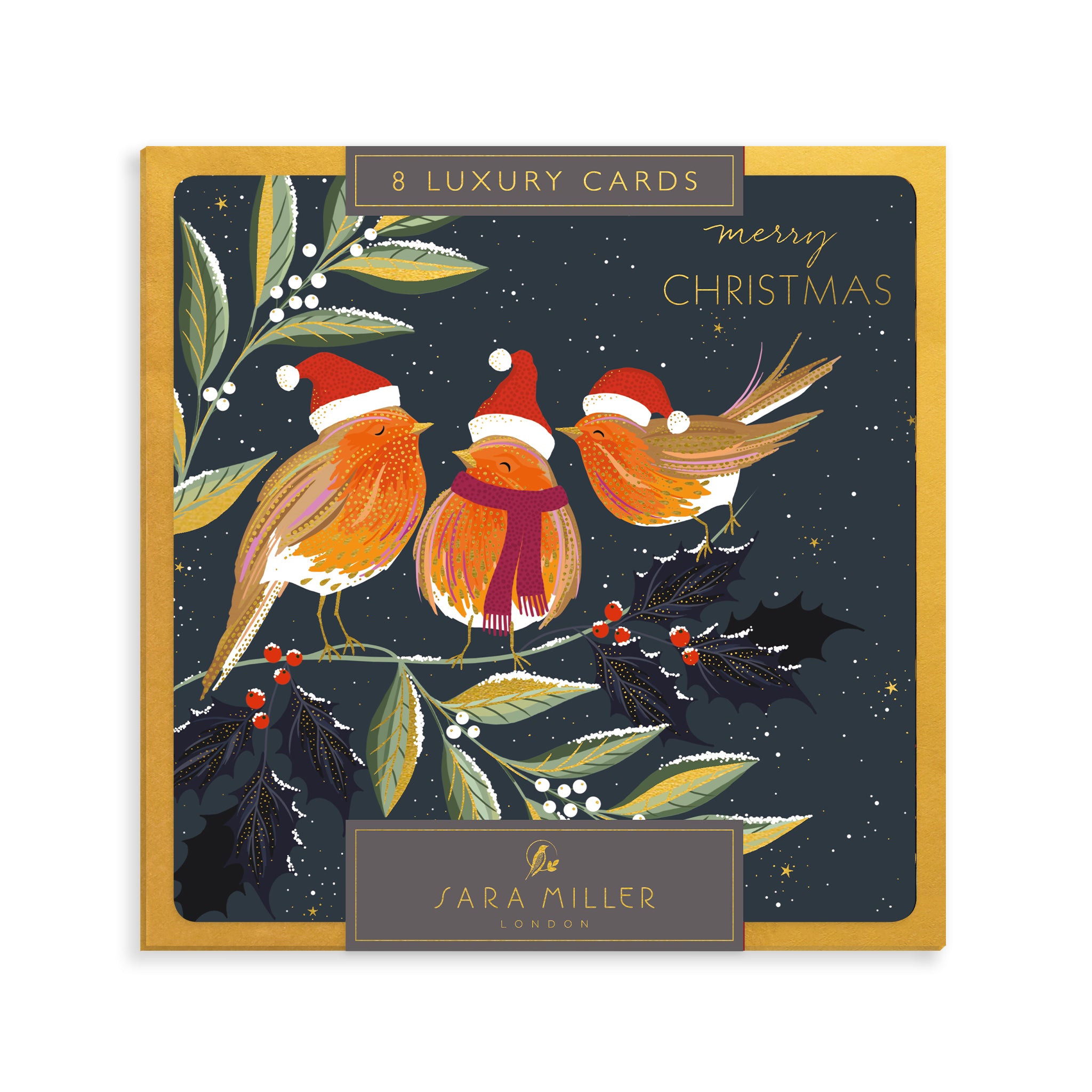 Festive Robins, 8 Luxury Christmas Cards