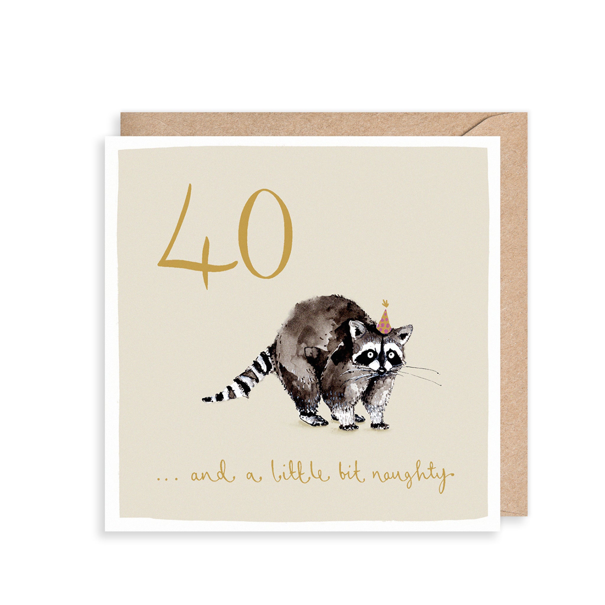 Raccoon 40th Birthday Card