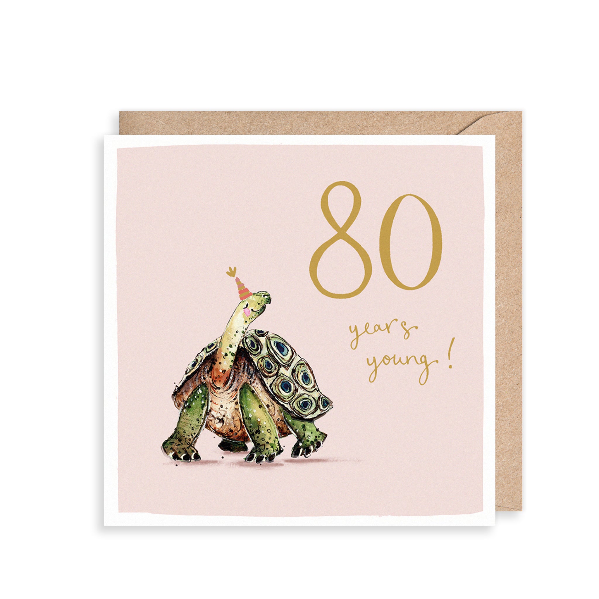Tortoise 80th Birthday Card
