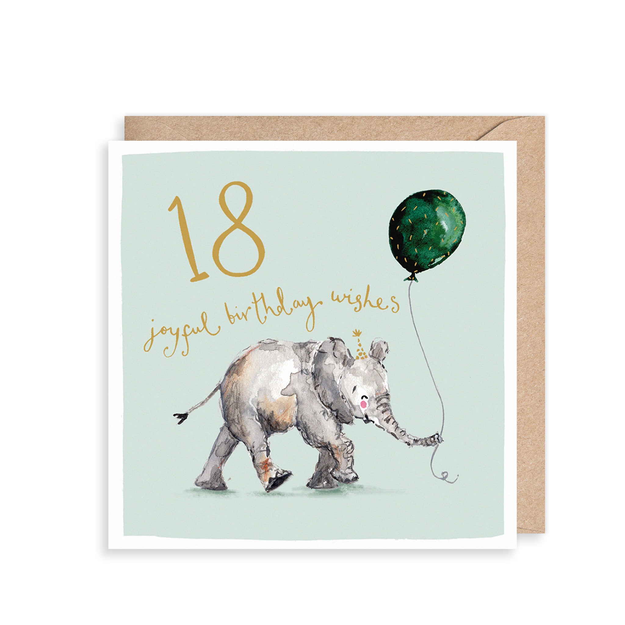 Elephant 18th Birthday Card