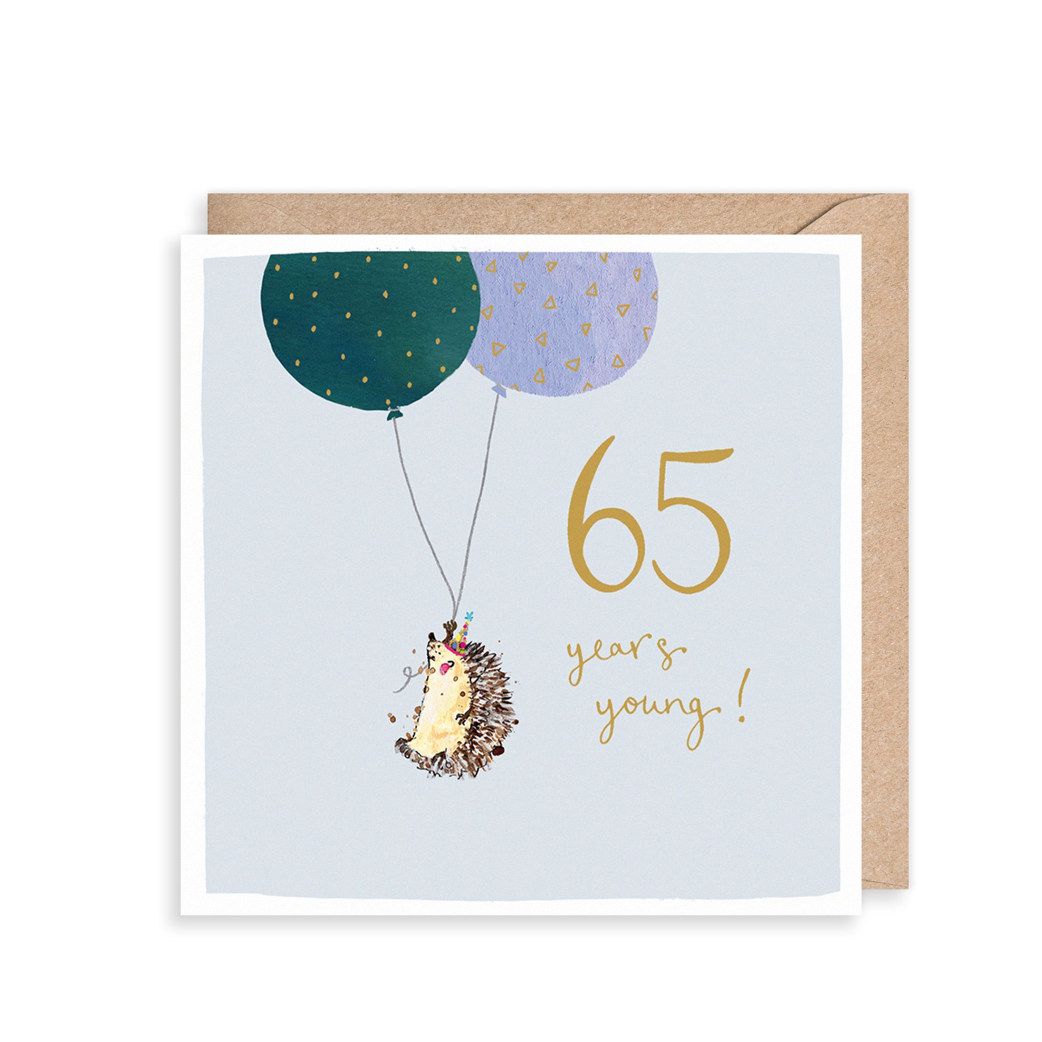 Hedgehog 65th Birthday Card