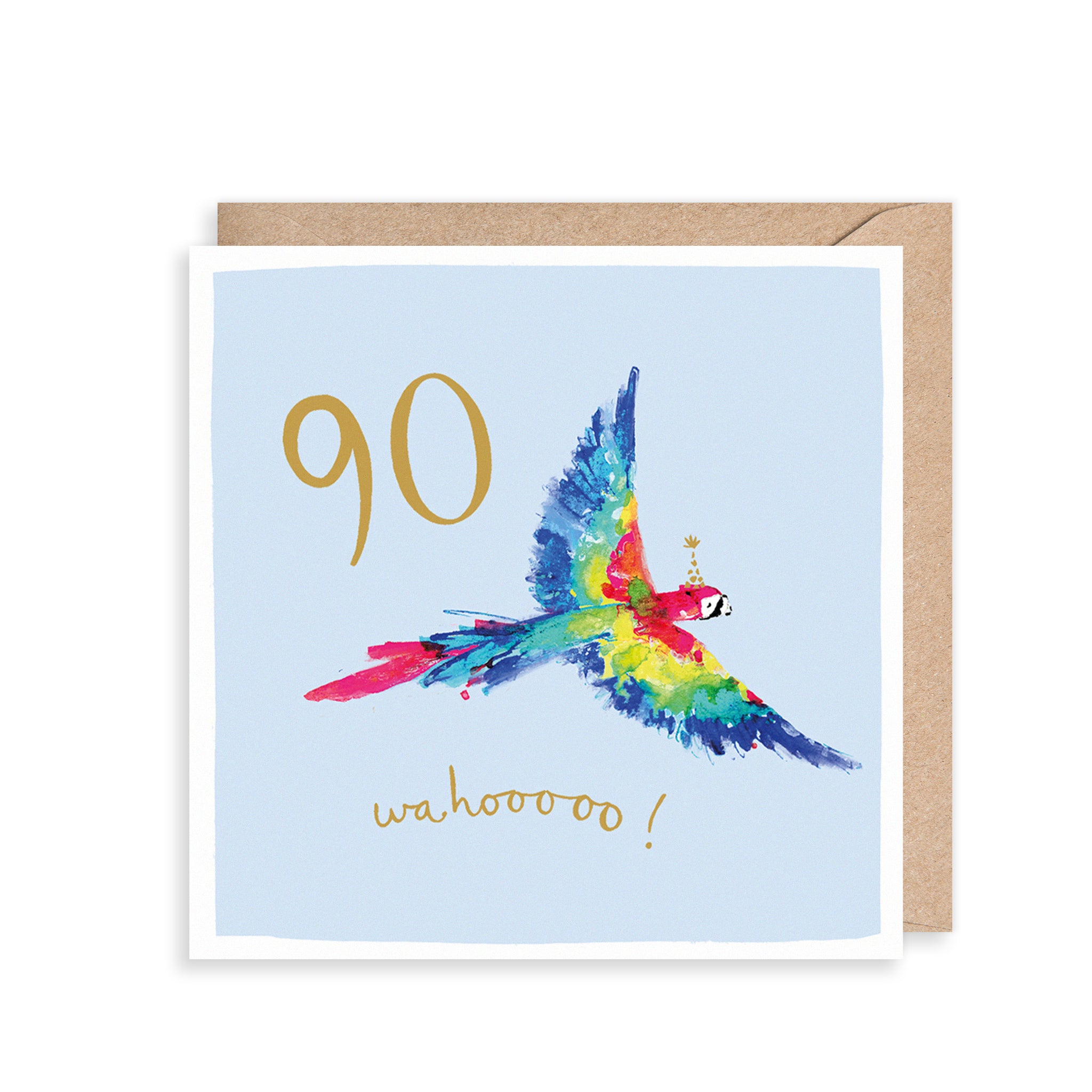 Macaw 90th Birthday Card