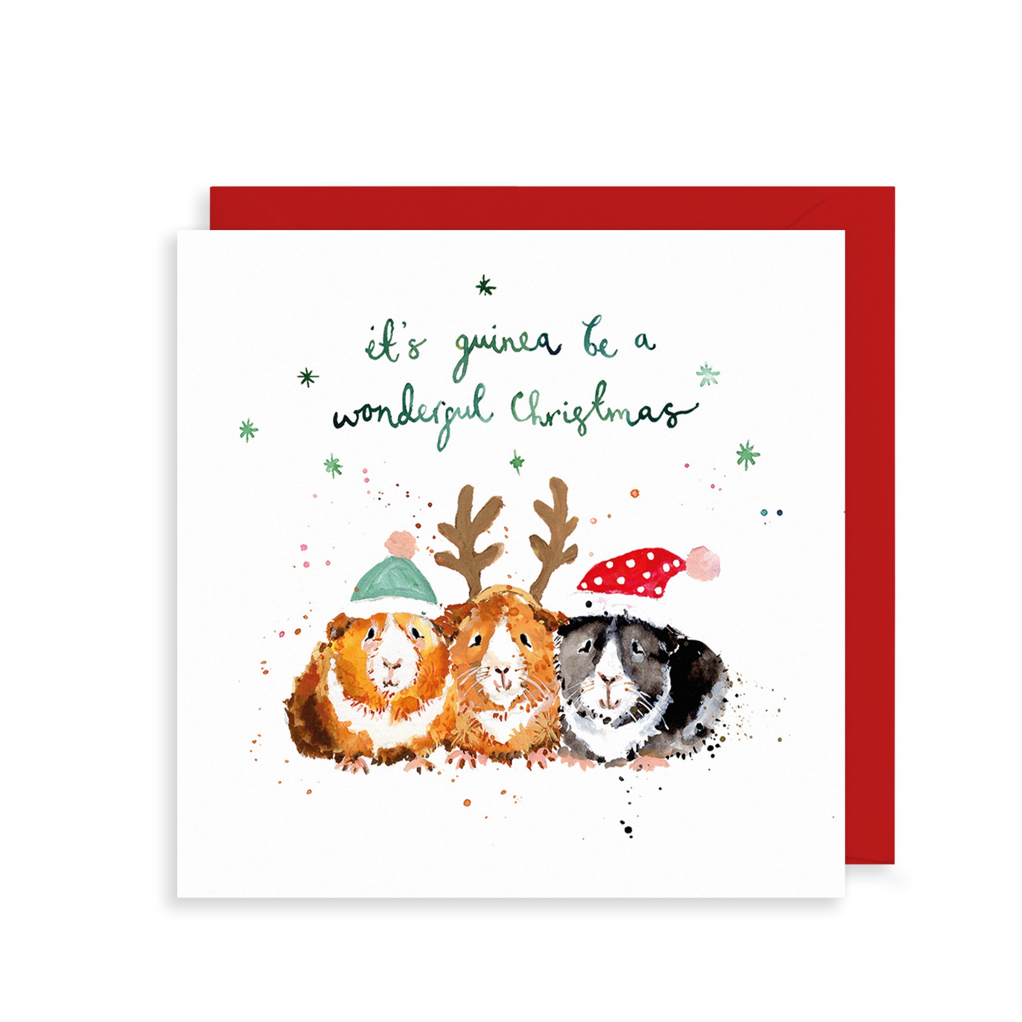 Guinea Pigs Wonderful Christmas Card