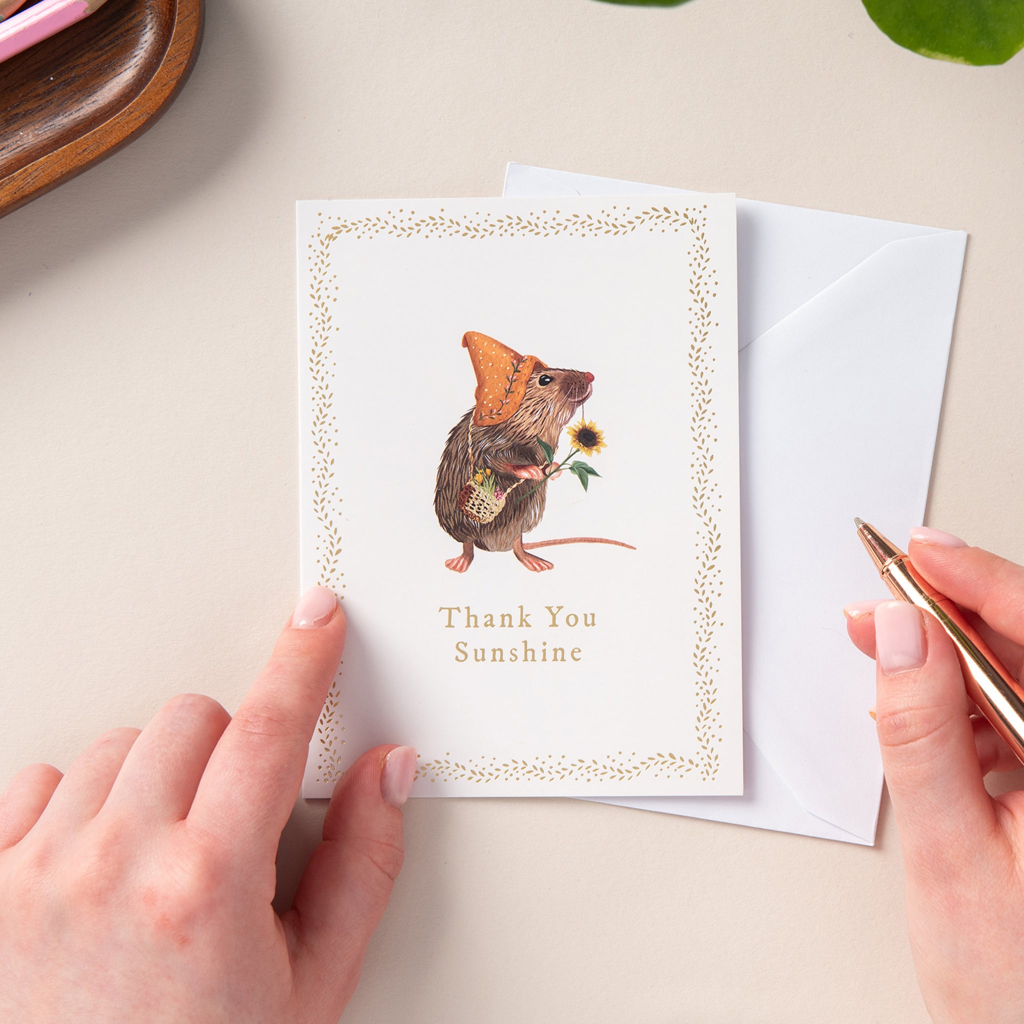 6 Notecard Pack - Thank You Sunshine Mouse | NCP06
