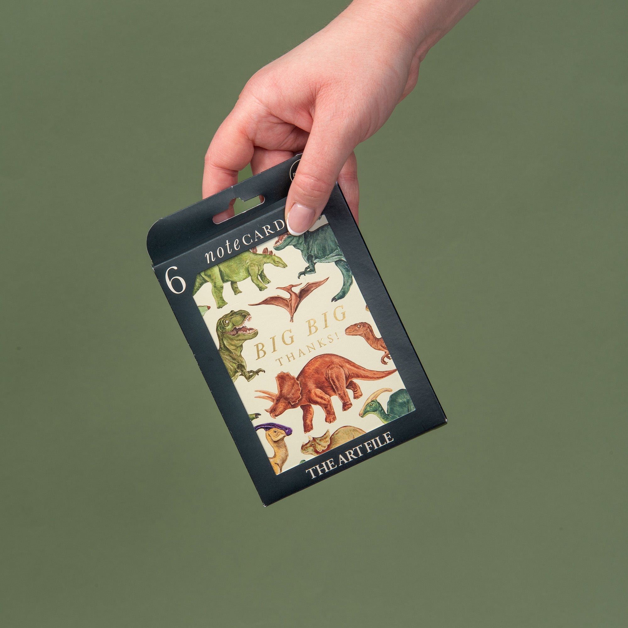 6 Notecard Pack - Dinosaur | NCP08