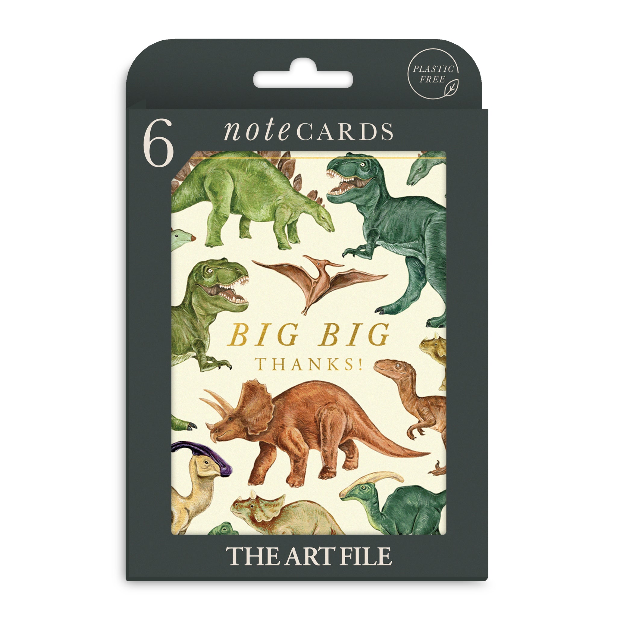 Dinosaur Thank You Cards - Pack of 6 Notecards