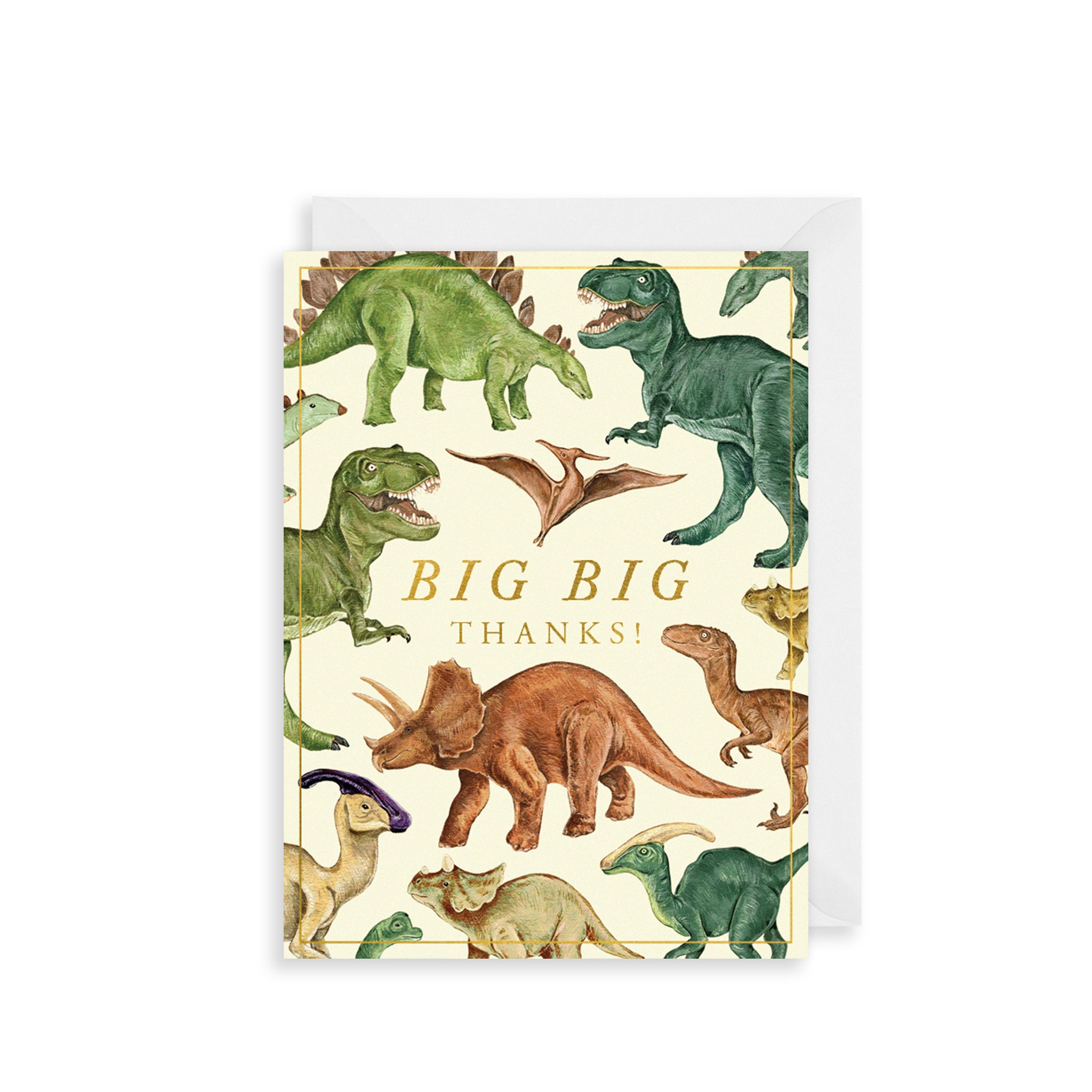 Dinosaur Thank You Cards - Pack of 6 Notecards