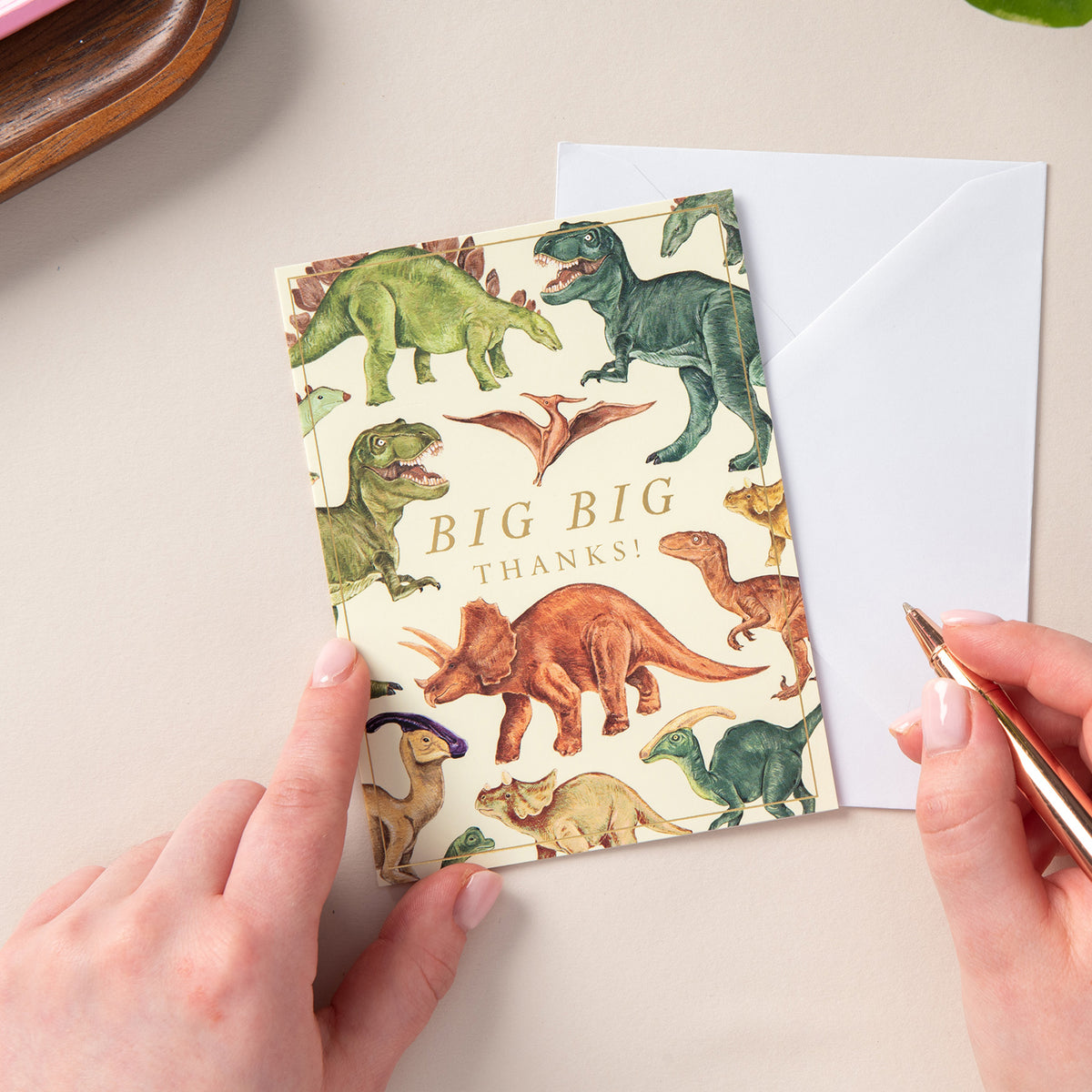 6 Notecard Pack - Dinosaur | NCP08