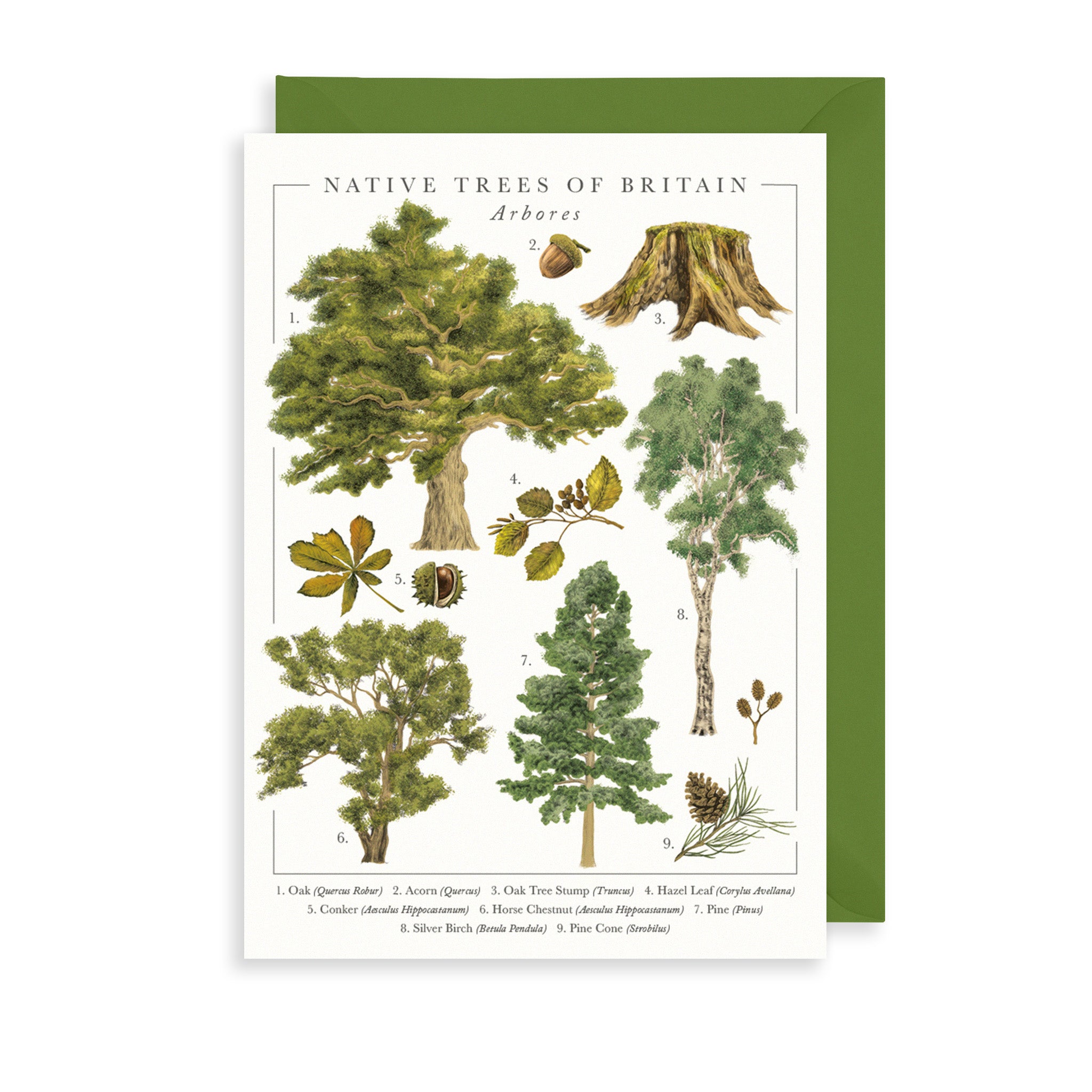 British Trees Greetings Card