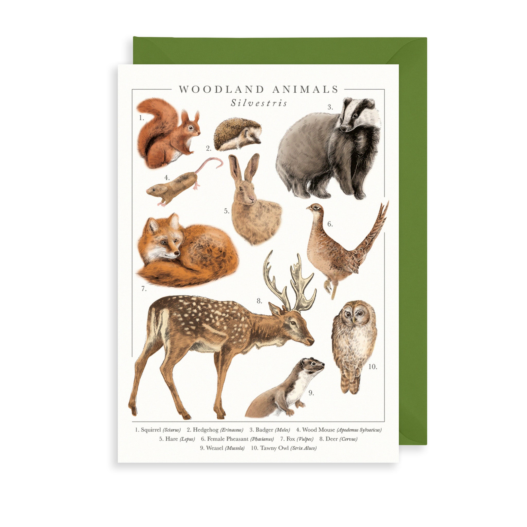Woodland Animals Greetings Card