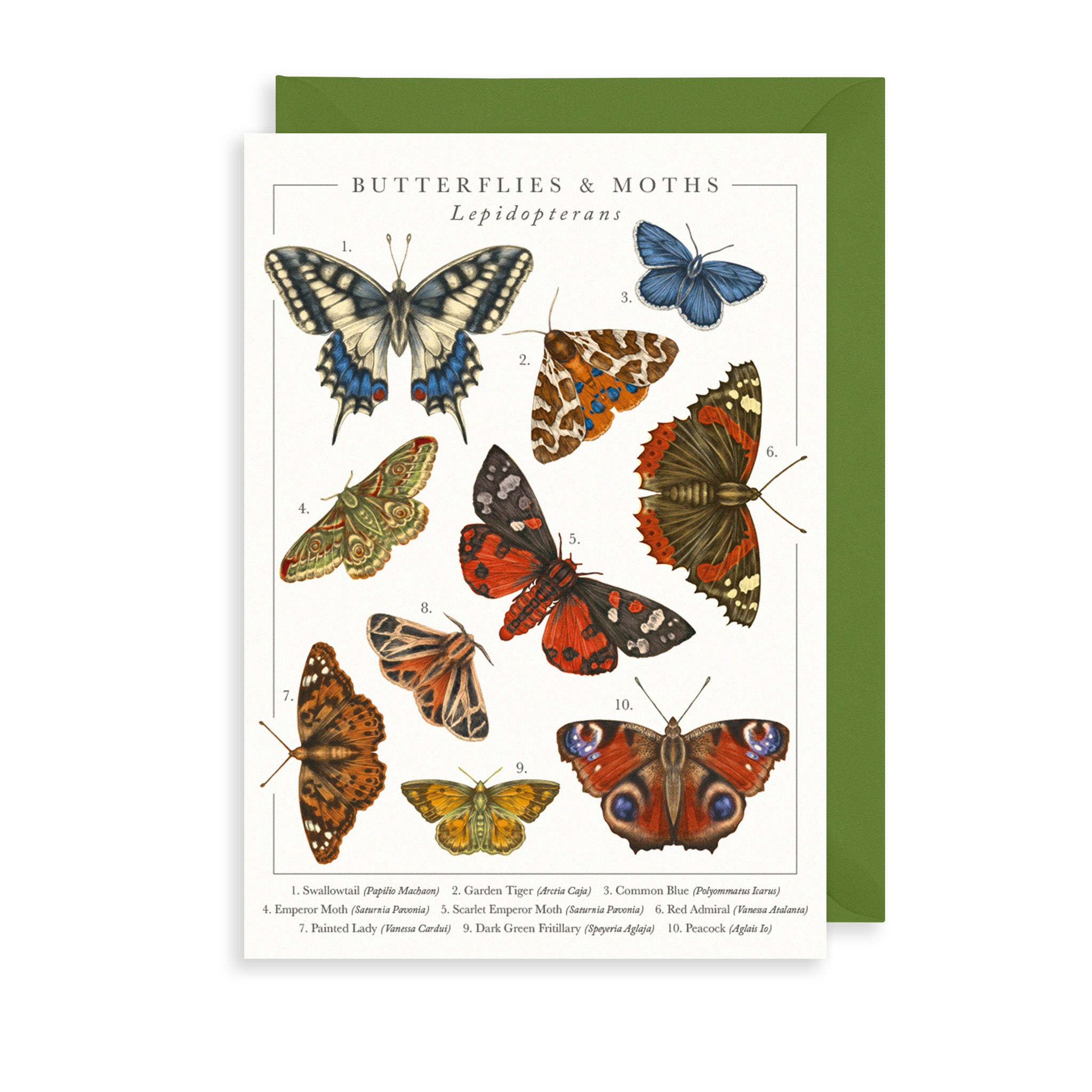 British Butterflies Greetings Card