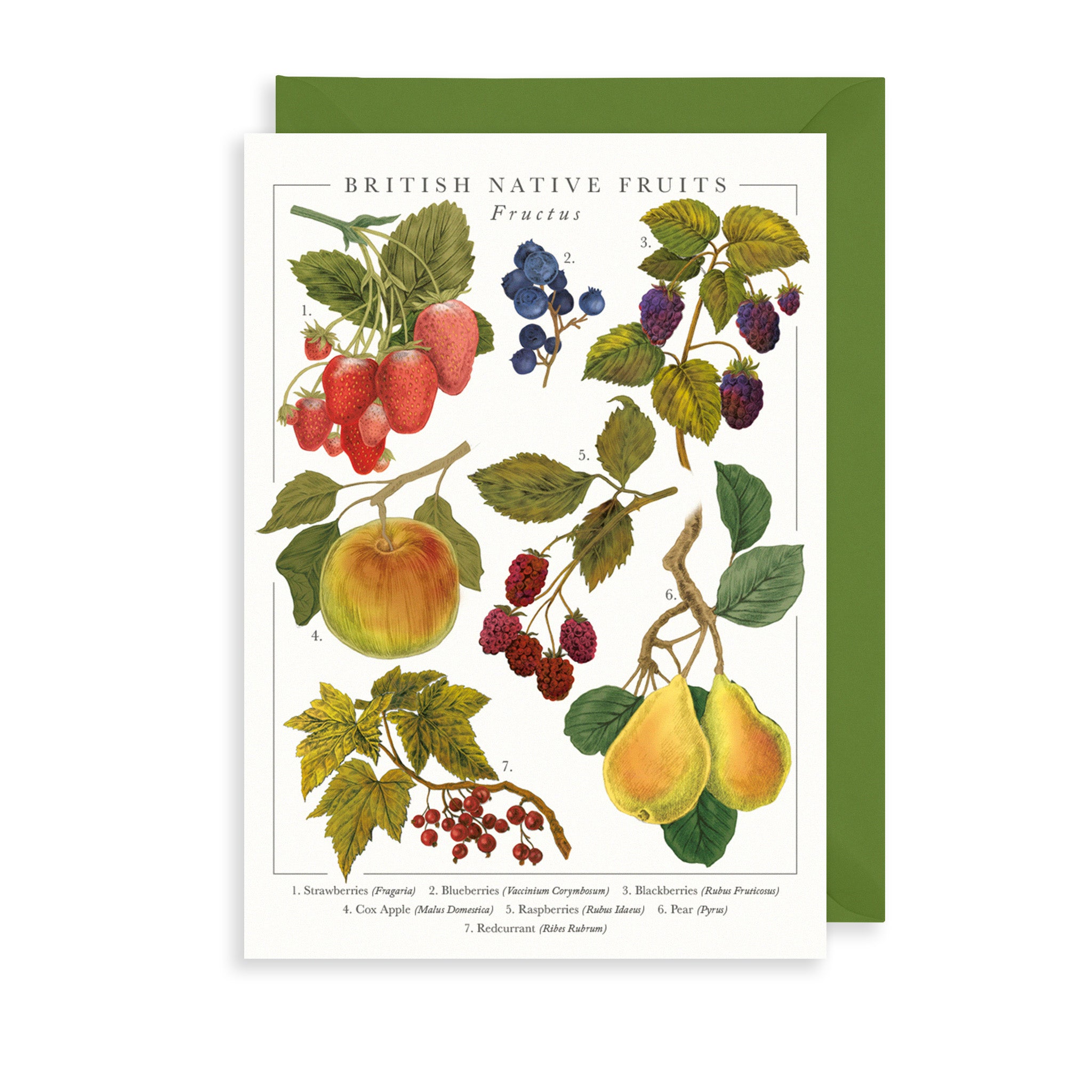 British Fruit Greetings Card