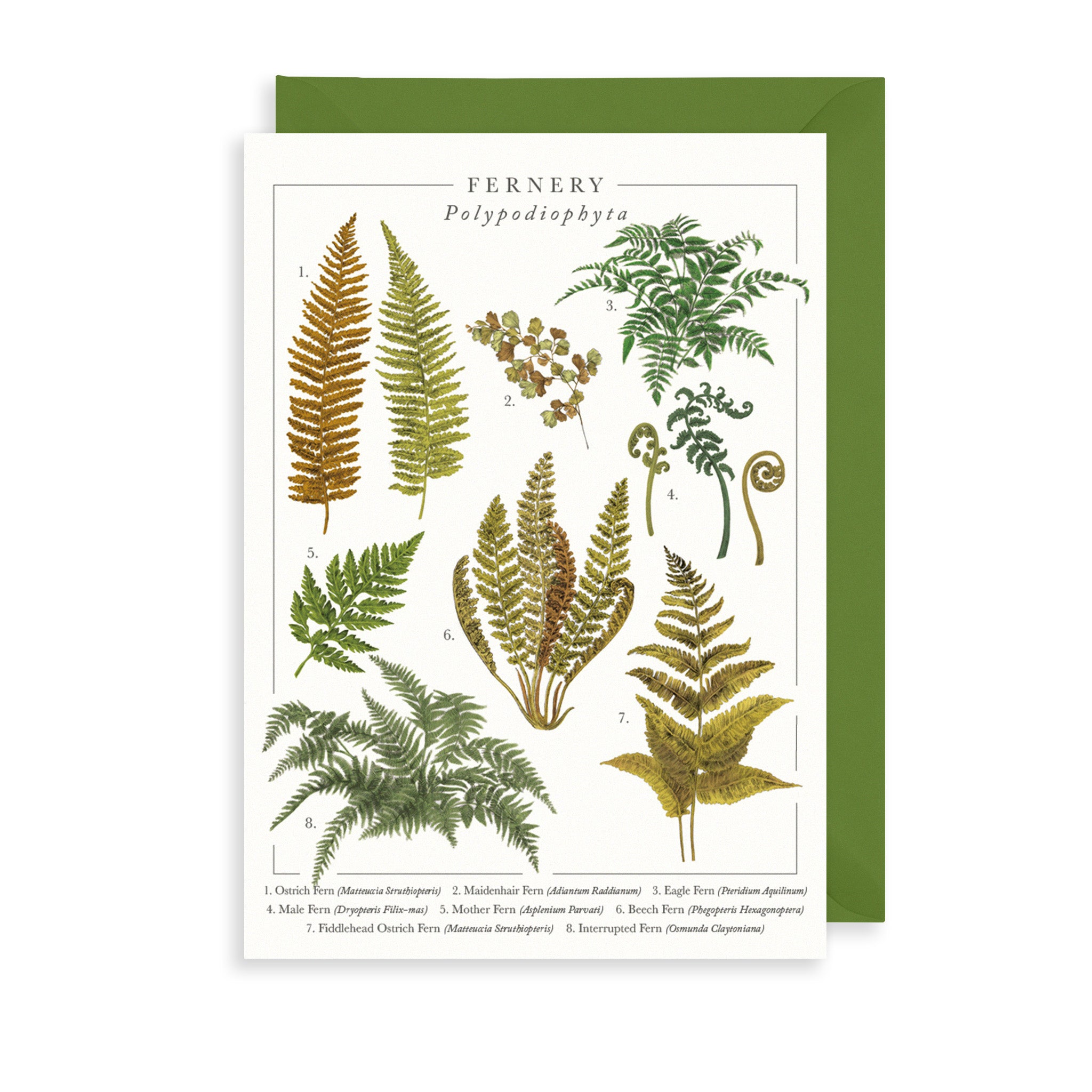 British Plants Greetings Card