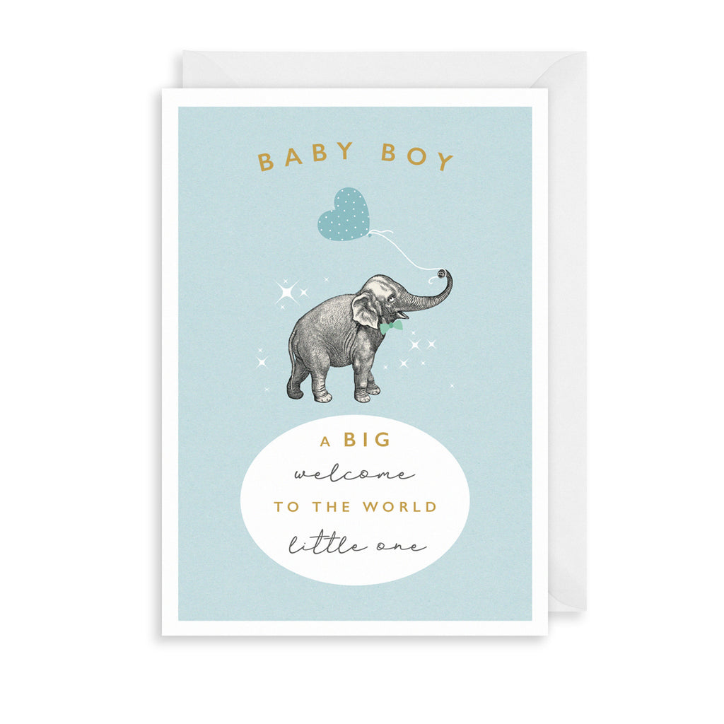 Elephant Baby Boy Greetings Card The Art File