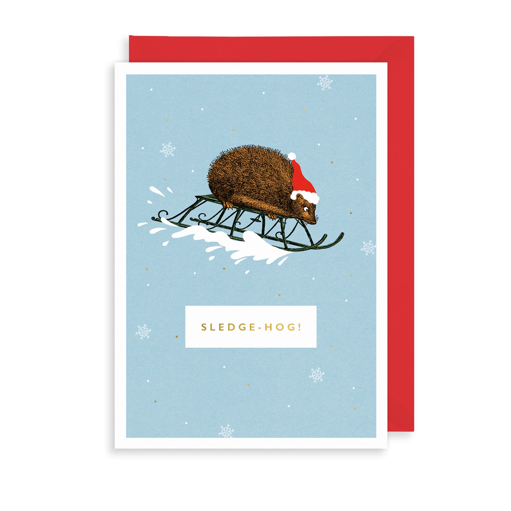 Sledge-hog Christmas Card