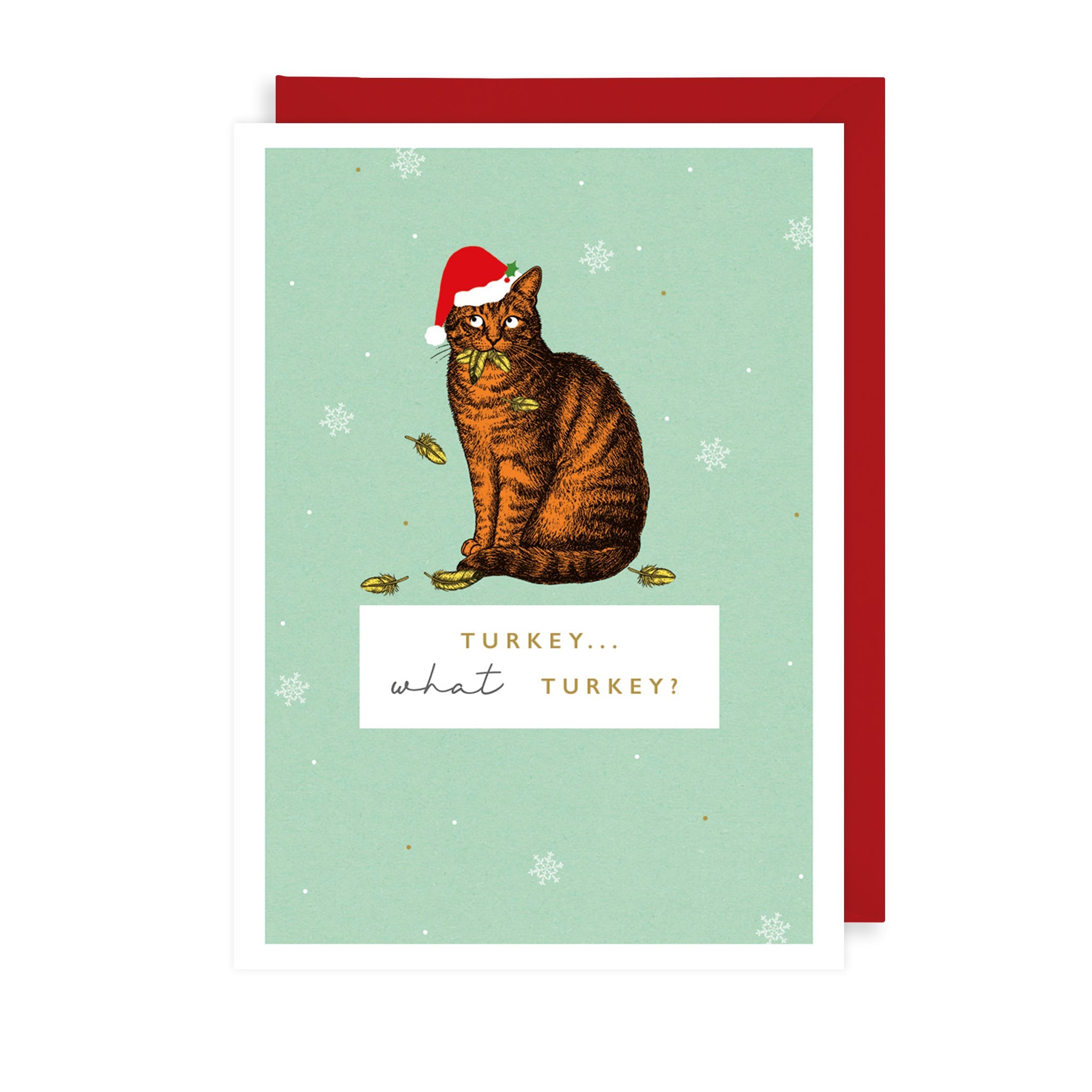 Turkey? What Turkey? Christmas Card