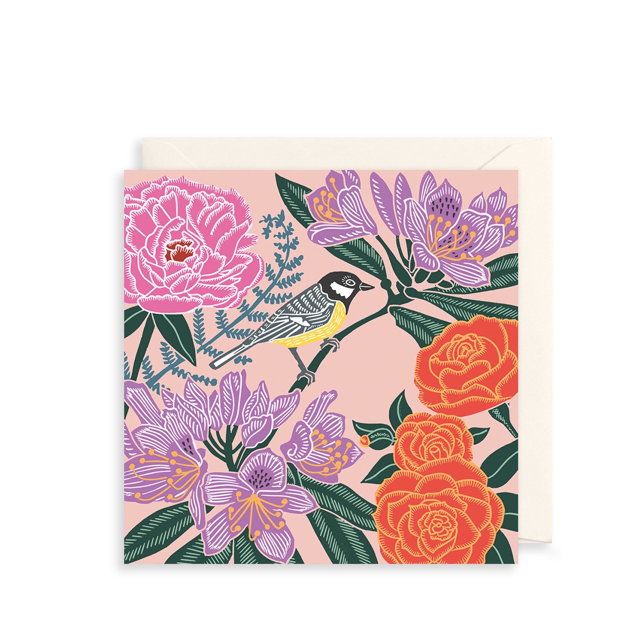 Birdcamelia Greetings Card The Art File