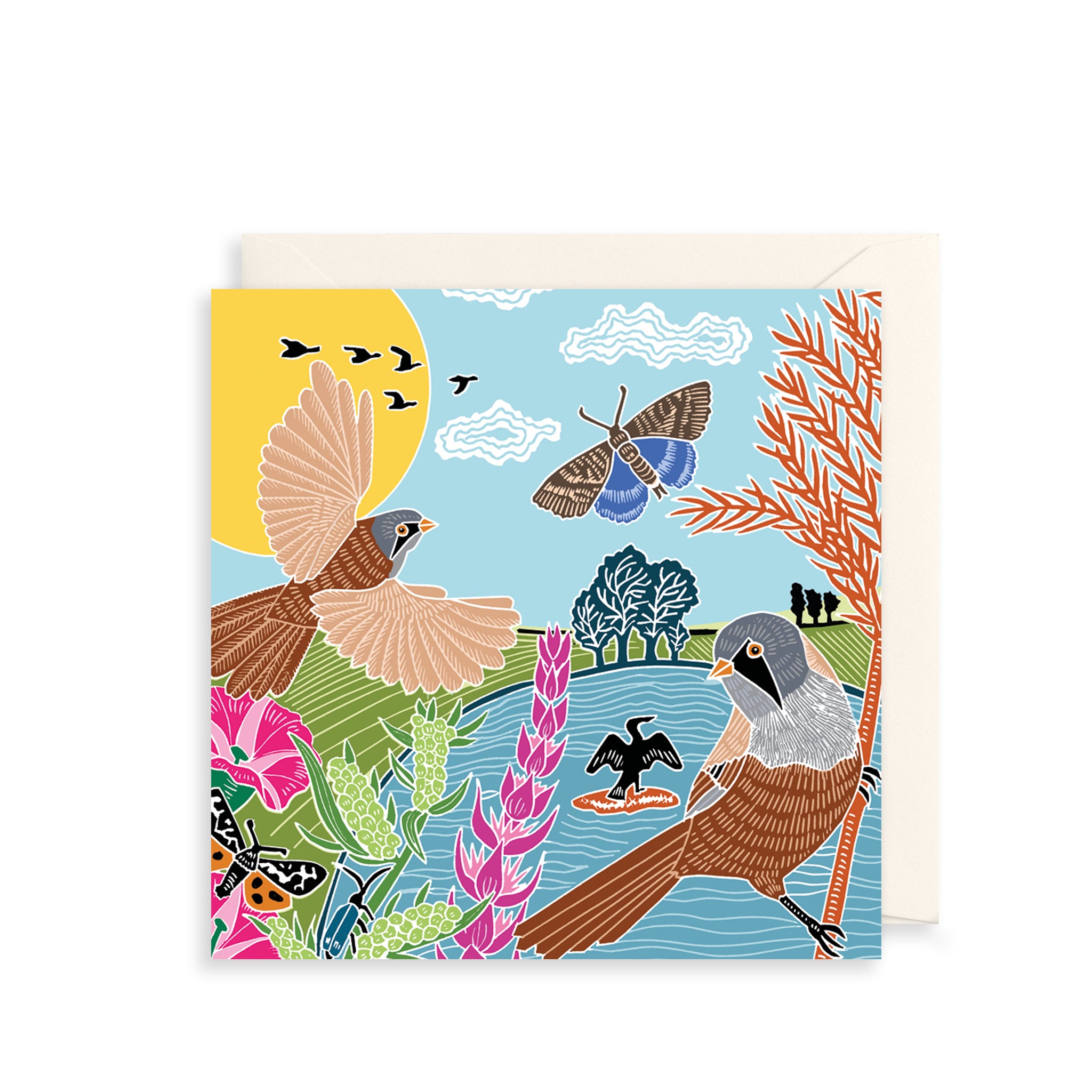 Seaside Birds Greetings Card The Art File