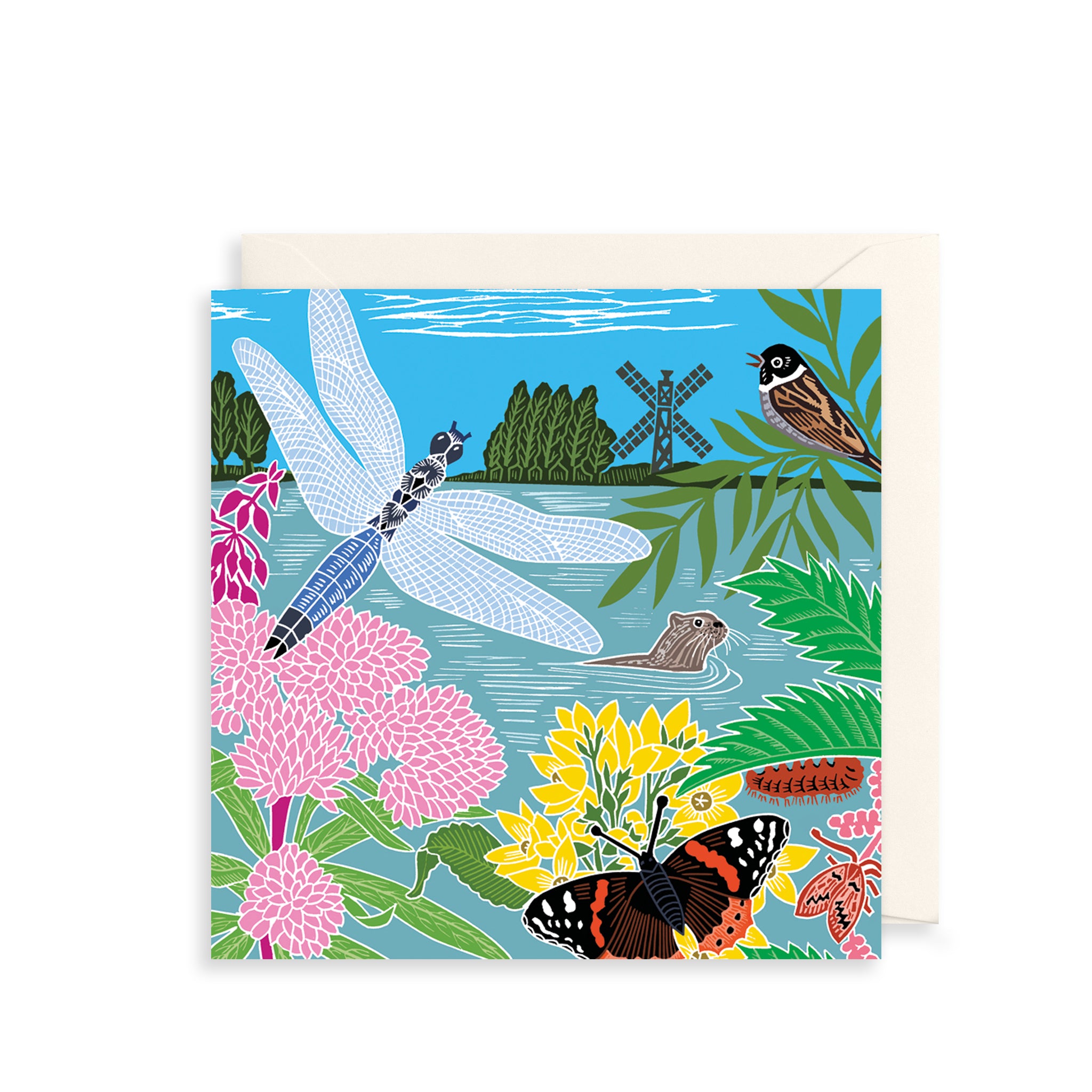 Dragonfly Greetings Card The Art File