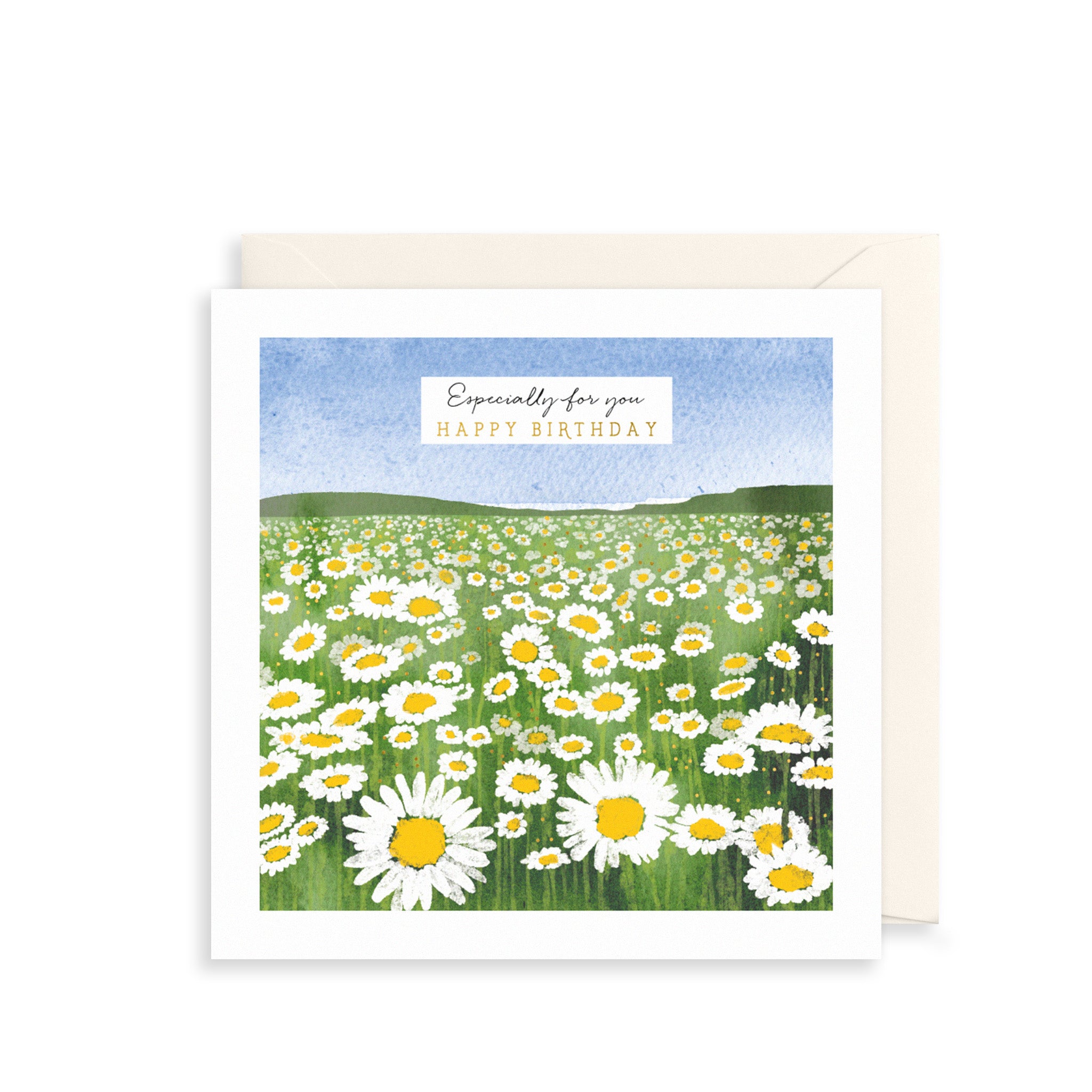 Daisy Meadow Greetings Card
